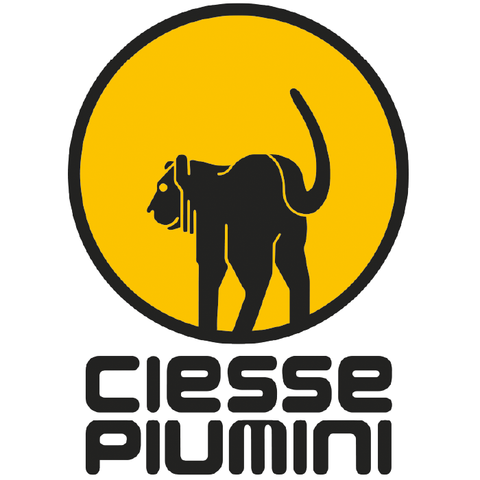 Ciesse Piumini Digital Store