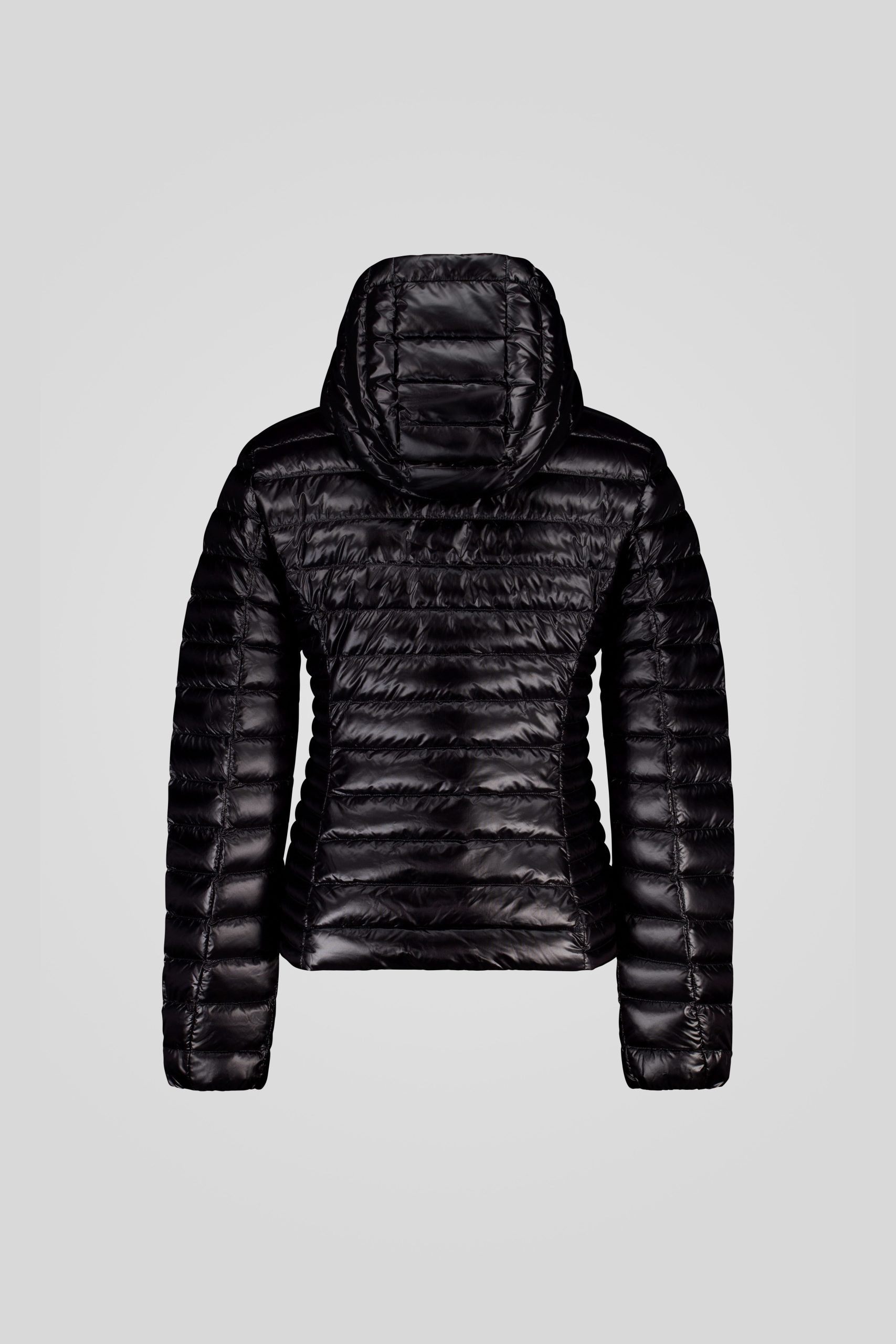 AGHATA-2_0-_253CFWJ02098_N3O11D_206XXP_Back_TIFF_1-1.jpg AGHATA 2 0 253CFWJ02098 N3O11D 206XXP Back TIFF 1 1 scaled