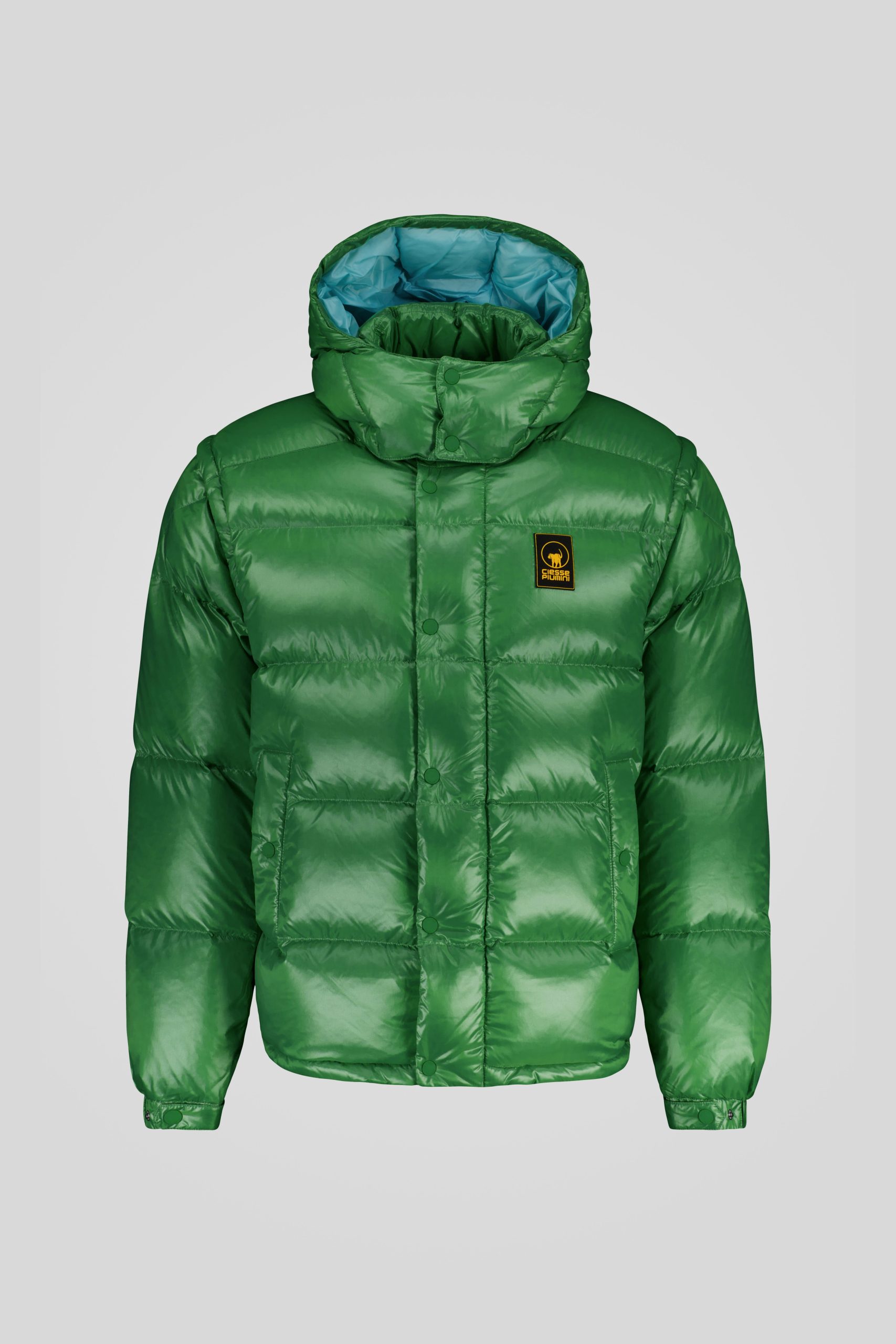 ANTON-_253PCMJI8560_N3P11D_42R3XP_Front_TIFF_1.jpg ANTON 253PCMJI8560 N3P11D 42R3XP Front TIFF 1 scaled