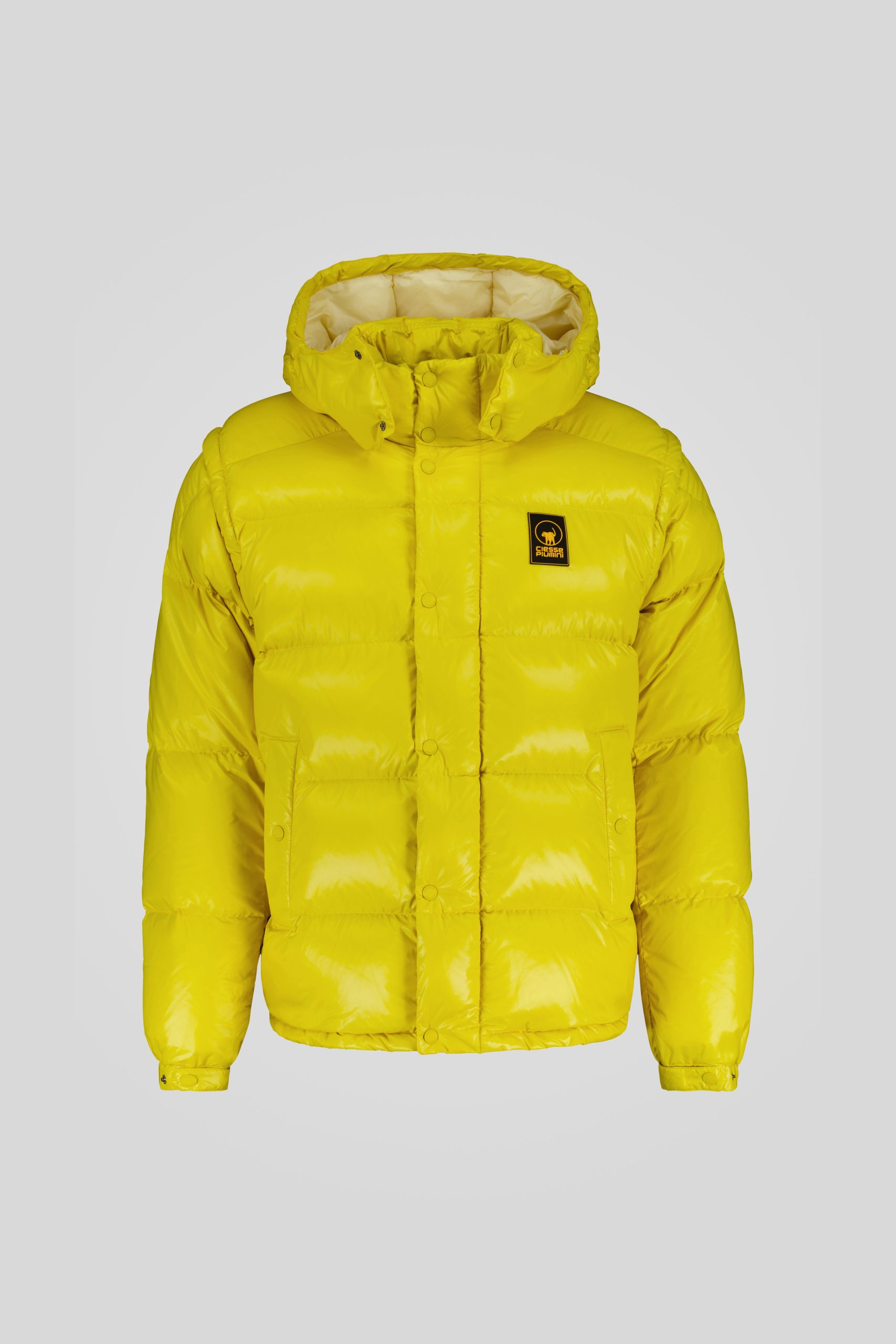 ANTON-_253PCMJI8560_N3P11D_6021XP_Front_TIFF_2.jpg ANTON 253PCMJI8560 N3P11D 6021XP Front TIFF 2 scaled