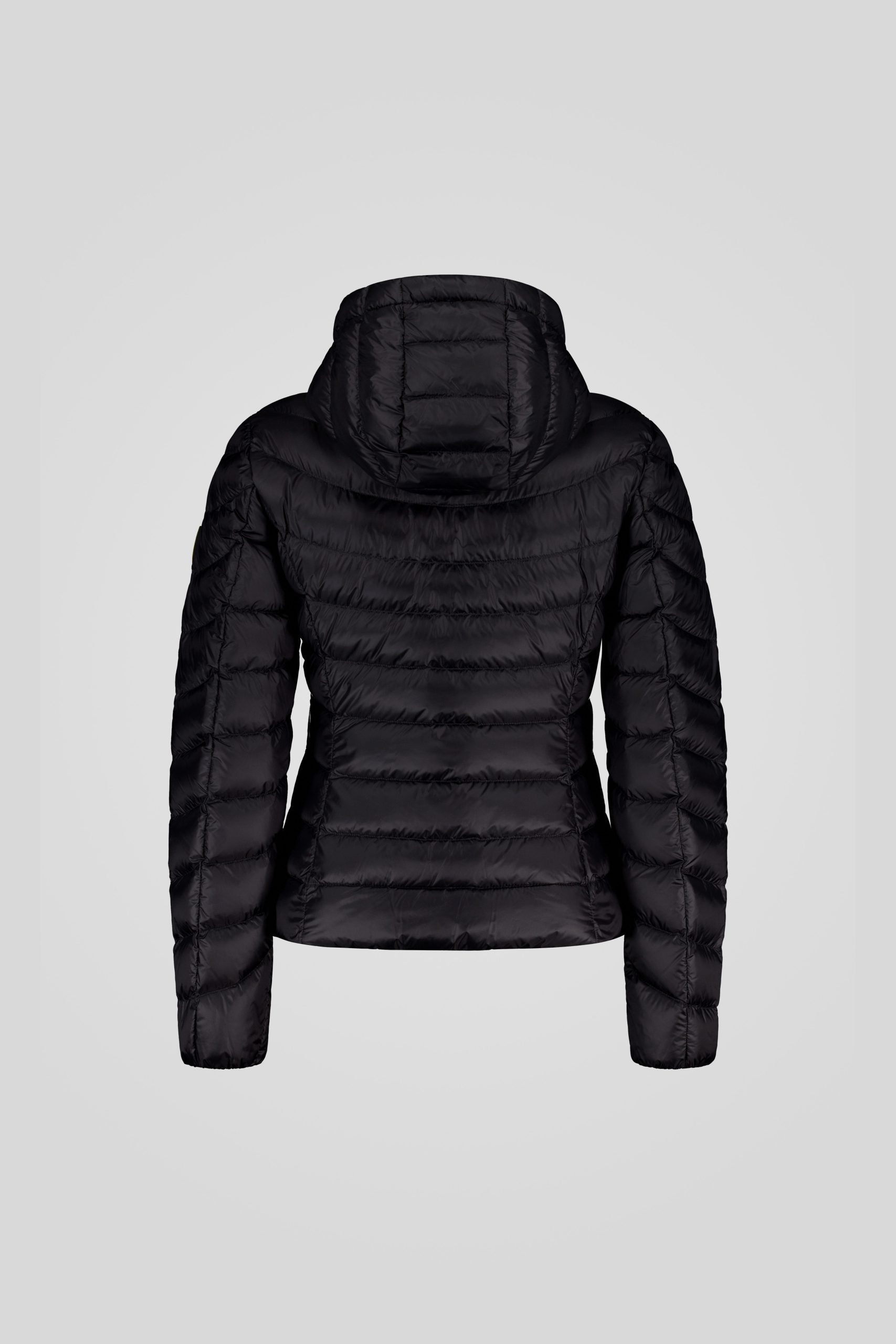 ARY 253CFWJ03101 N3N11D 206XXP Back TIFF 1 scaled