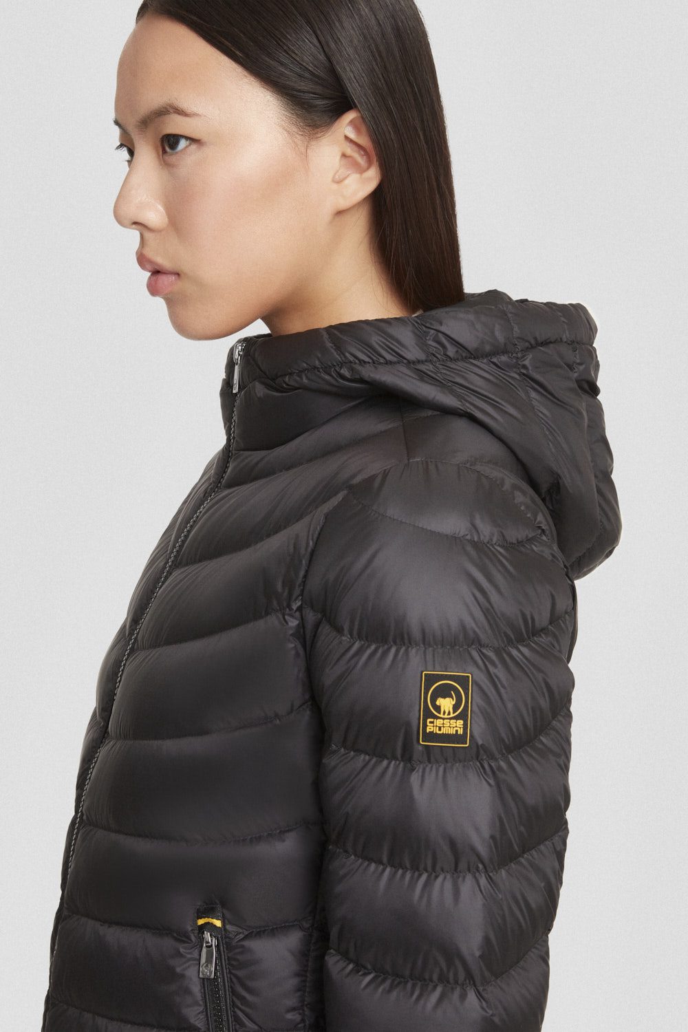 ARY 253CFWJ03101N3N11D206XXP 4