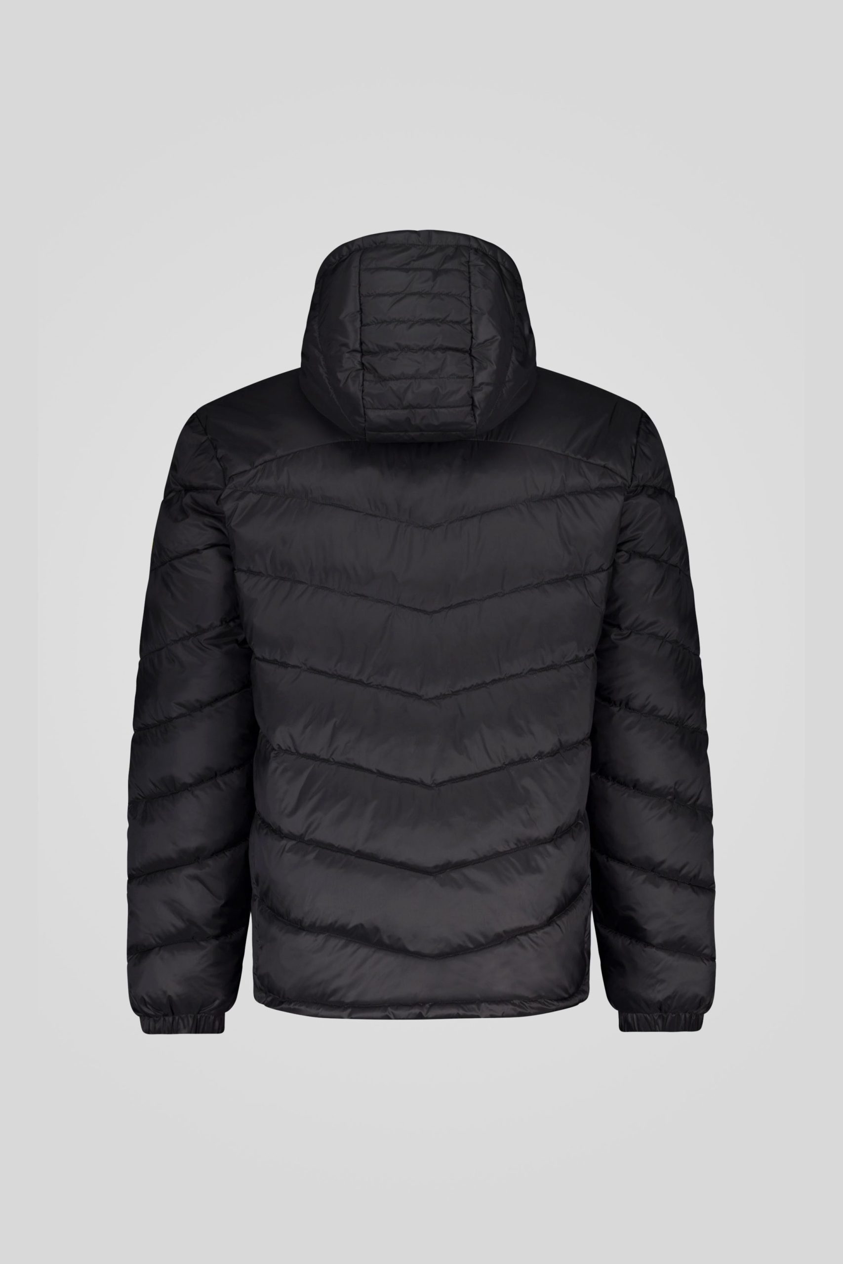 CHANS 3 0 253CPMJ00230 N0211R 206XXN Back RAW 1 2 scaled