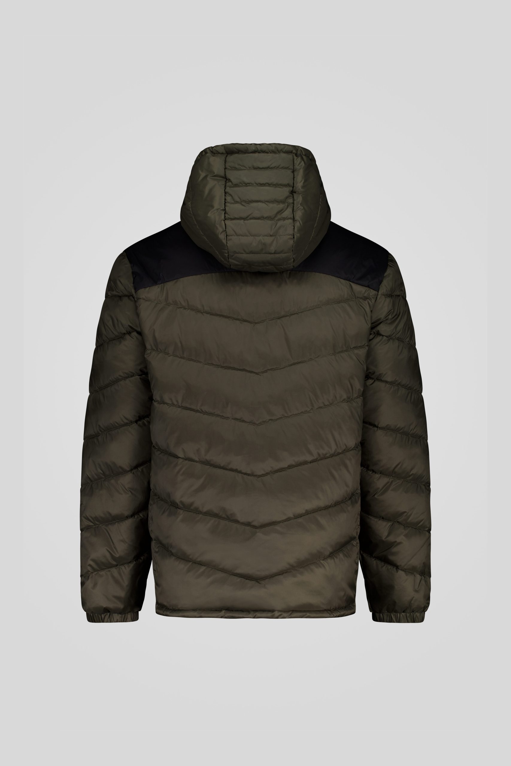 CHANS-3-0-_253CPMJ00230_N0211R_427NXN_Back_TIFF_1.jpg CHANS 3 0 253CPMJ00230 N0211R 427NXN Back TIFF 1 scaled