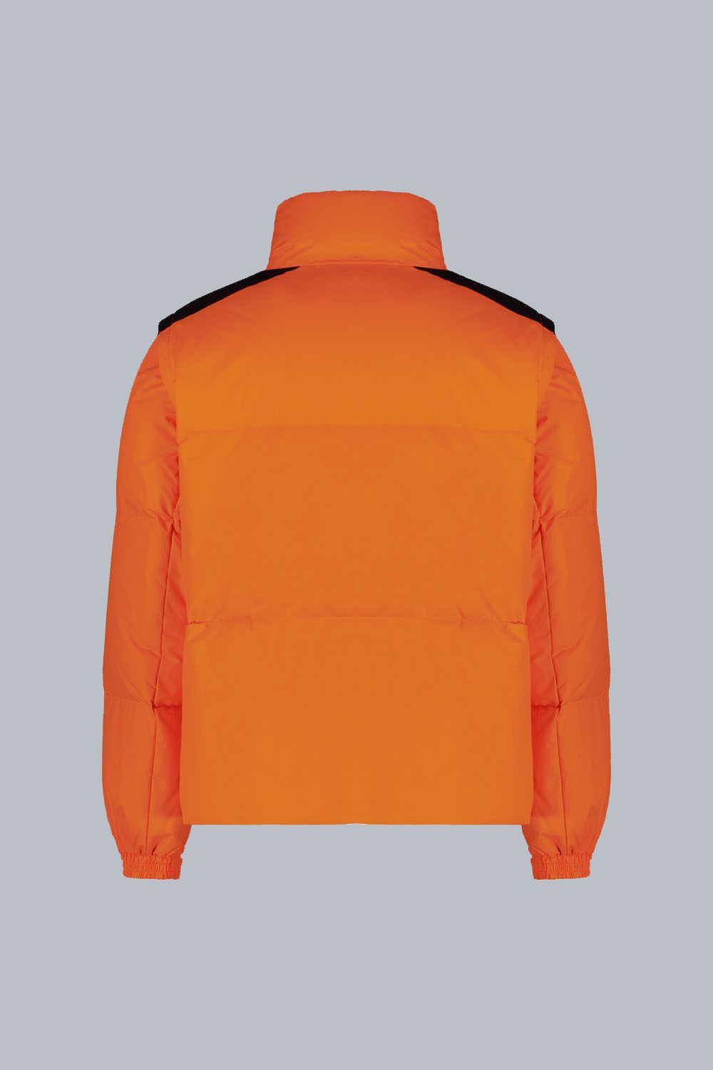 DAKOTA_PIUMINOUNISEX_243HCXJ22803N2E1YRHER6914XP_BK-1.jpg DAKOTA PIUMINOUNISEX 243HCXJ22803N2E1YRHER6914XP BK 1