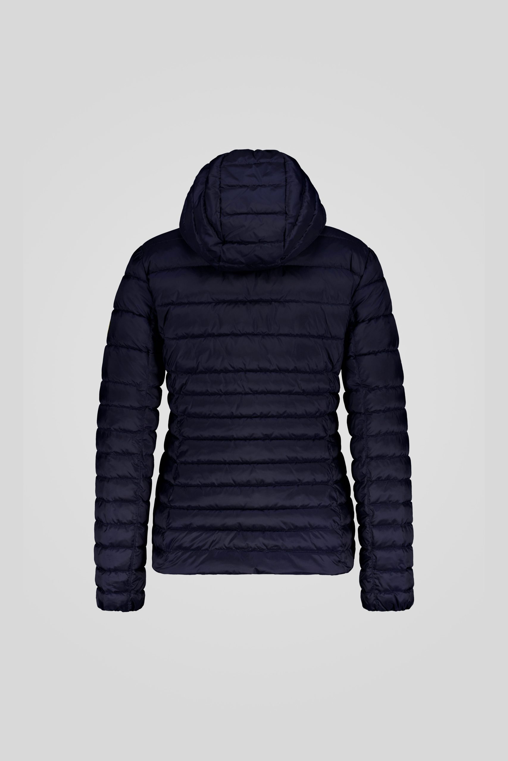 FLORA 5 0 253CPWJ05054 N0211R 341XXN Back TIFF 1 scaled