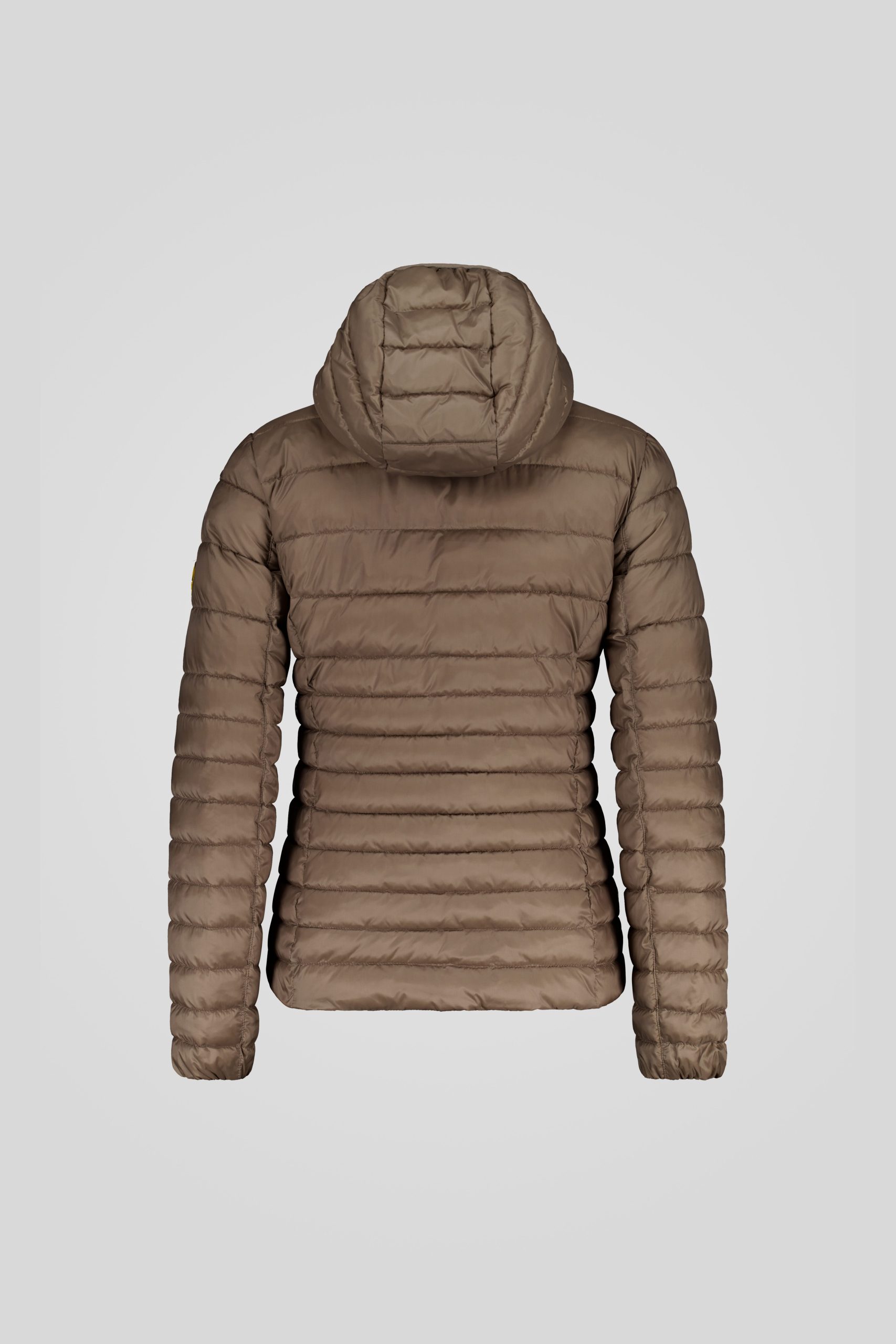 FLORA-5_0-_253CPWJ05054_N0211R_737XXN_Back_TIFF_1.jpg FLORA 5 0 253CPWJ05054 N0211R 737XXN Back TIFF 1 scaled