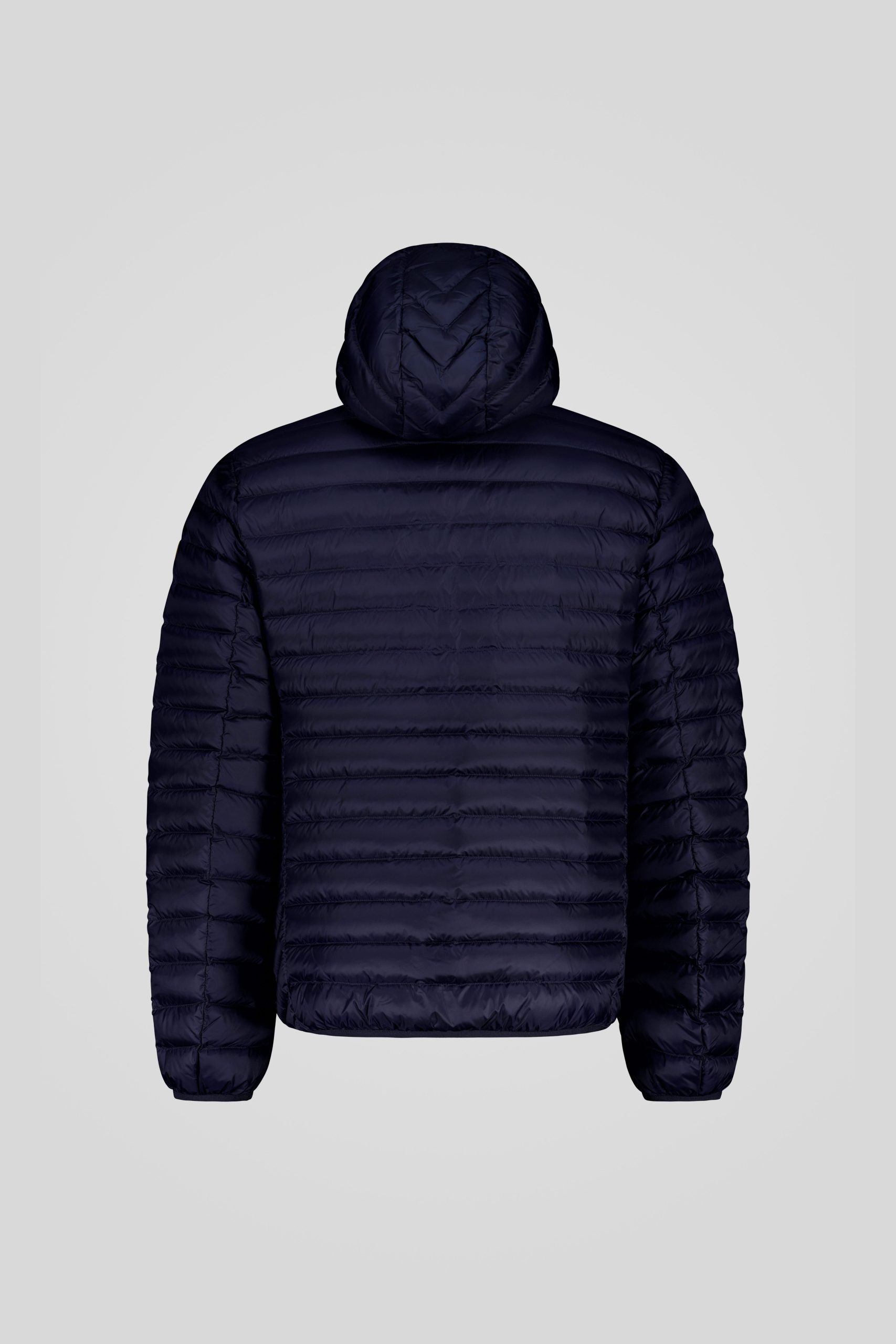 FRANKLIN 3 0 253CFMJ00062 N3N11D 341XXP Back TIFF 1 scaled