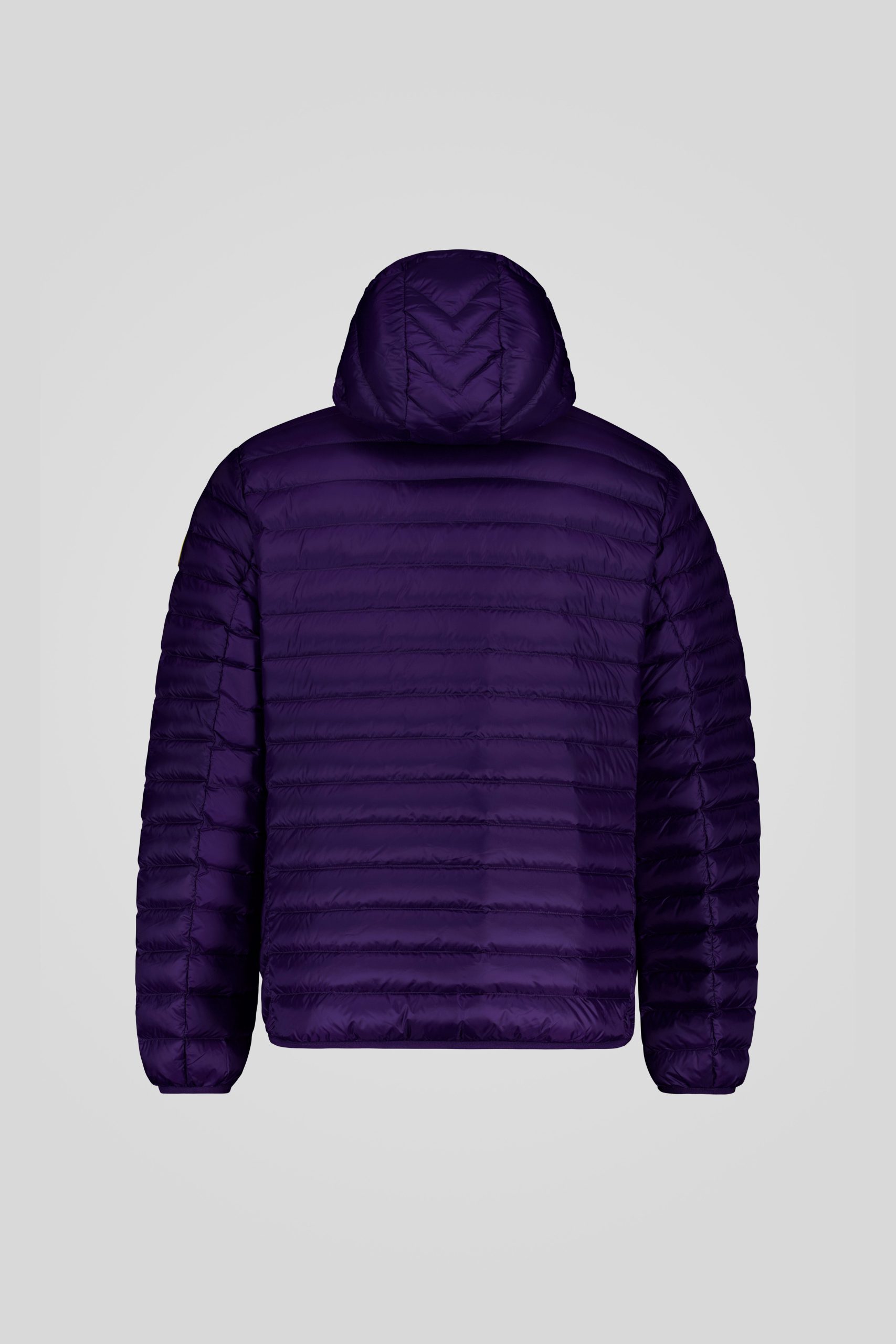 FRANKLIN 3 0 253CFMJ00062 N3N11D 82DXXP Back TIFF 2 scaled