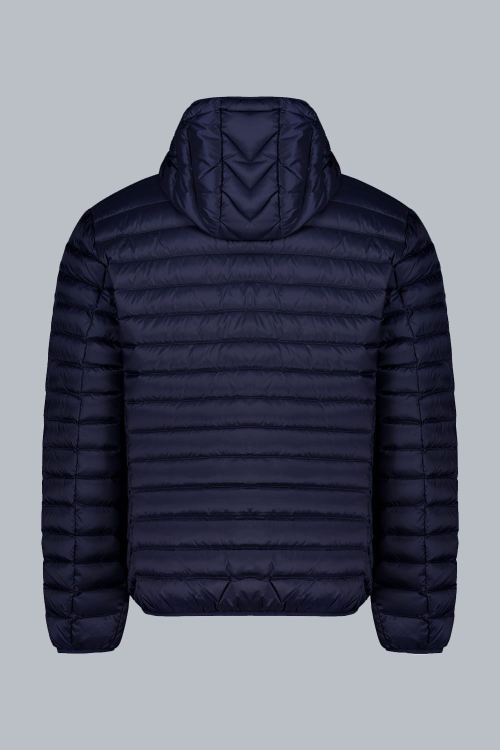 FRANKLIN2.0 PIUMINO100GRAMMI 233CFMJ00062N0210D2433413XP Back 1