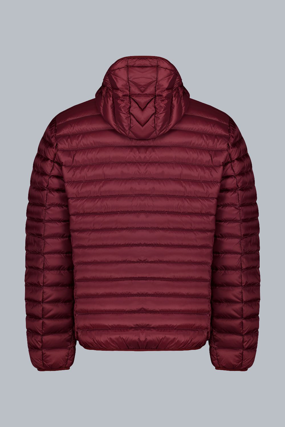 FRANKLIN2.0_PIUMINO100GRAMMI_233CFMJ00062N0210D2435047XP_Back_1.jpg FRANKLIN2.0 PIUMINO100GRAMMI 233CFMJ00062N0210D2435047XP Back 1