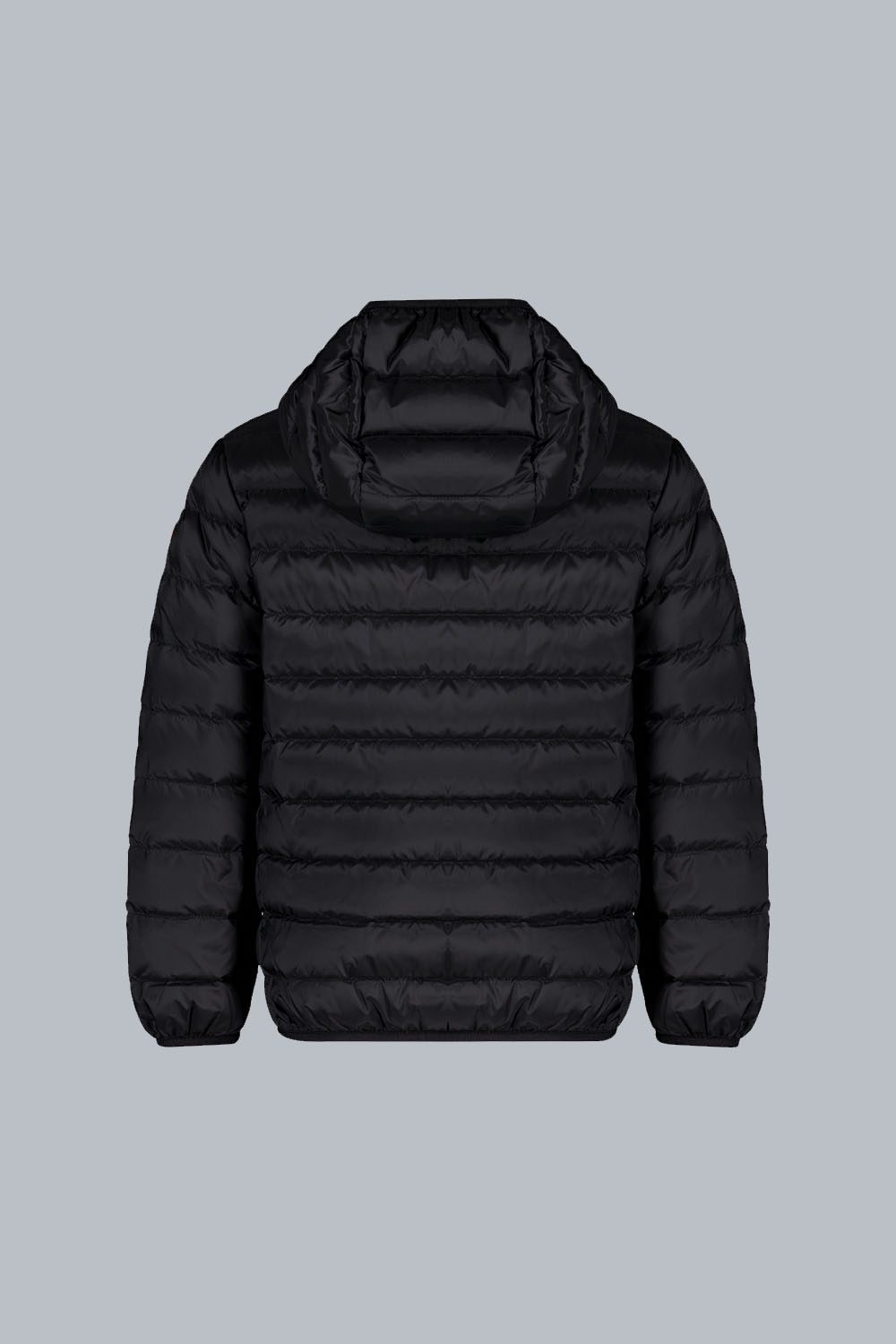 FRANKLINBOY_PIUMINO800FILLPOWER_216CFBJ00062N0210D206XXP_Back_1.jpg FRANKLINBOY PIUMINO800FILLPOWER 216CFBJ00062N0210D206XXP Back 1