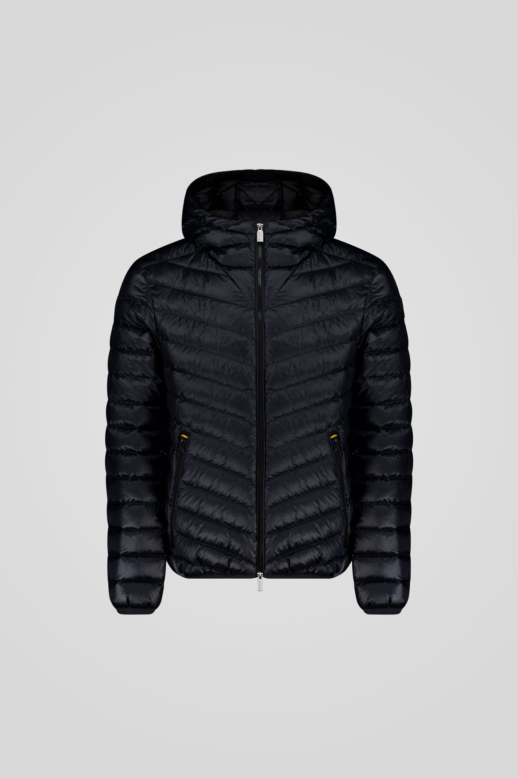 FREDDY-_253CFMJ08538_N5E11D_206XXP_Front_TIFF_1.jpg FREDDY 253CFMJ08538 N5E11D 206XXP Front TIFF 1 scaled