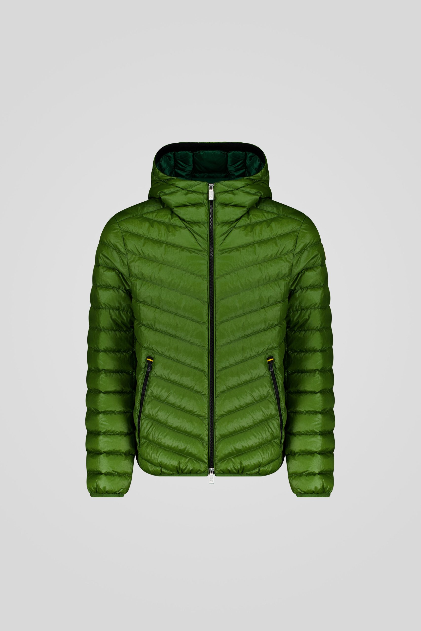 FREDDY-_253CFMJ08538_N5E11D_42QXXP_Front_TIFF_1.jpg FREDDY 253CFMJ08538 N5E11D 42QXXP Front TIFF 1 scaled