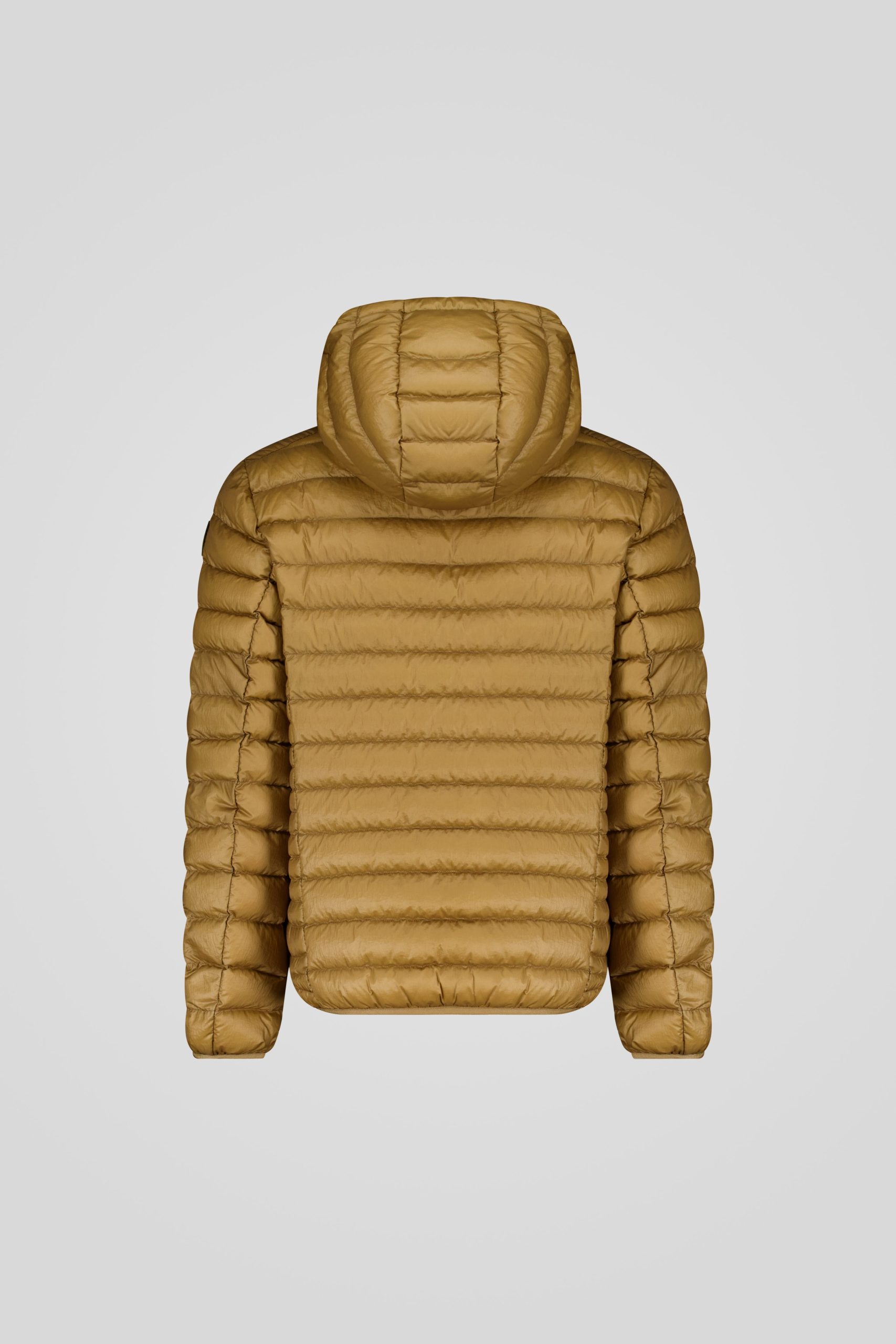 FREDDY-_253CFMJ08538_N5E11D_70ZXXP_Back_TIFF_1-Recovered.jpg FREDDY 253CFMJ08538 N5E11D 70ZXXP Back TIFF 1 Recovered scaled