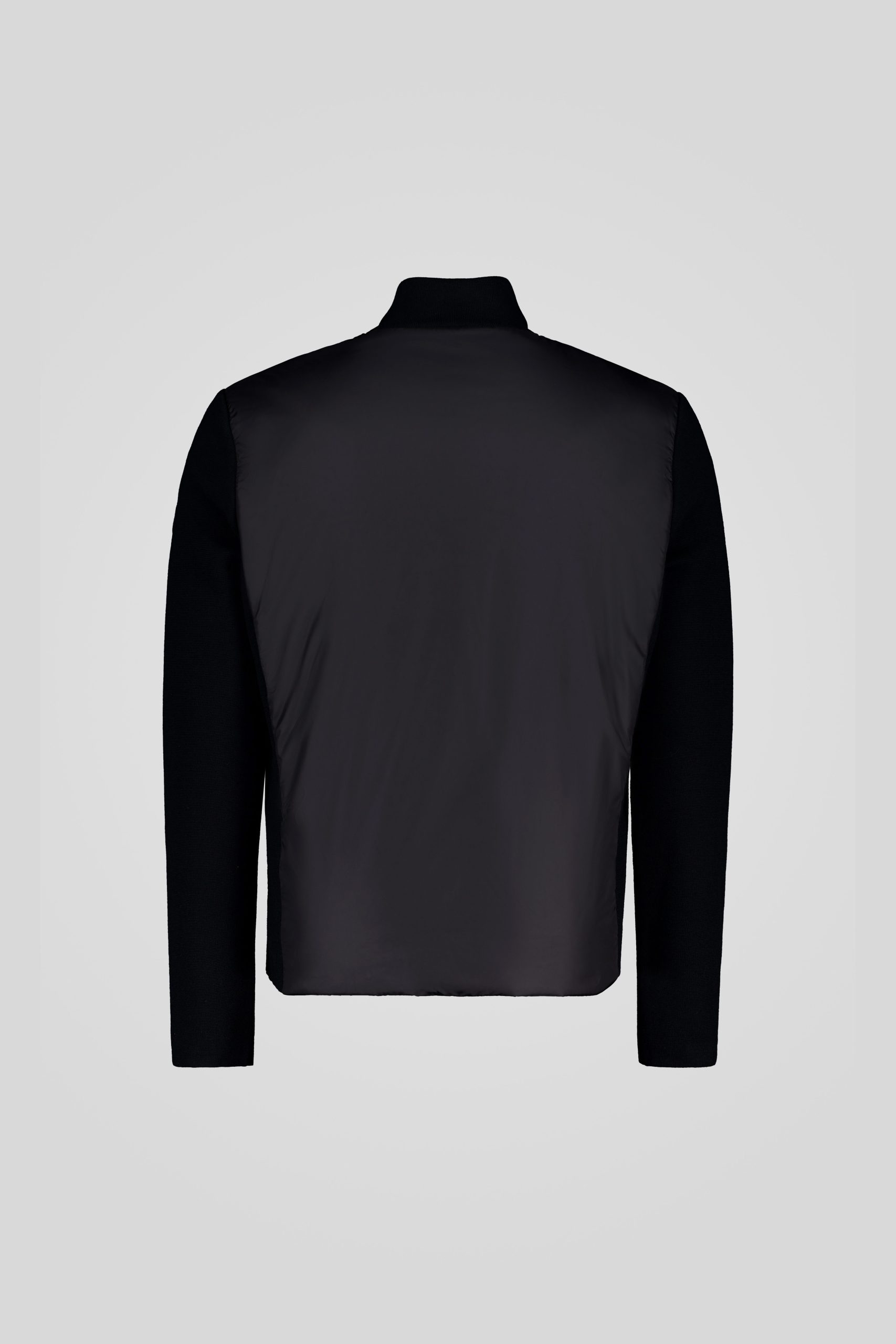 GINKGO 253PCMHJ8557 P7P11P 206XXN Back TIFF 1 scaled