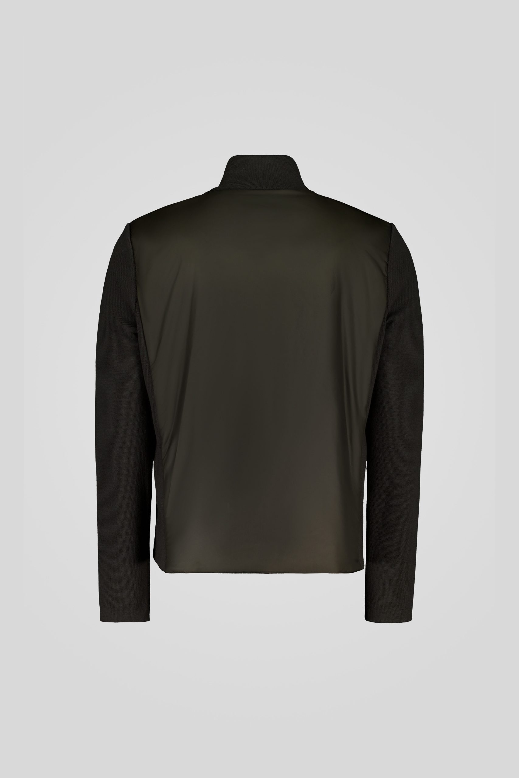 GINKGO 253PCMHJ8557 P7P11P 427XXN Back TIFF 1 scaled