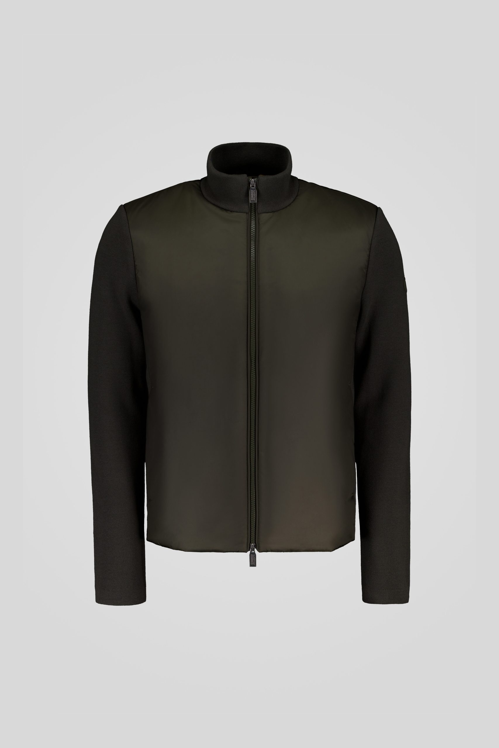 GINKGO 253PCMHJ8557 P7P11P 427XXN Back TIFF 2 scaled