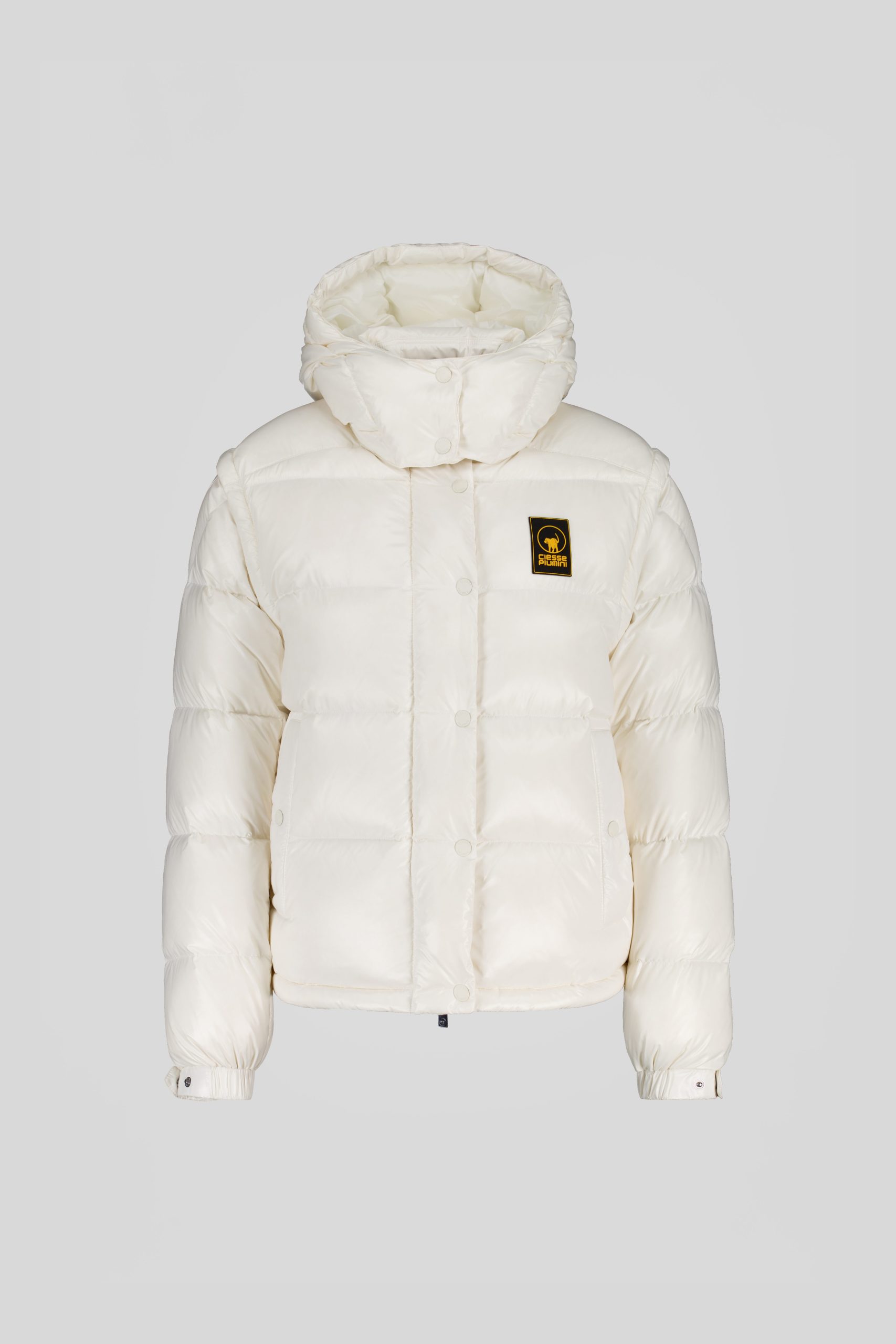 GINNY 253PCWJI3031 N3P11D 115XXP Front TIFF 1 scaled