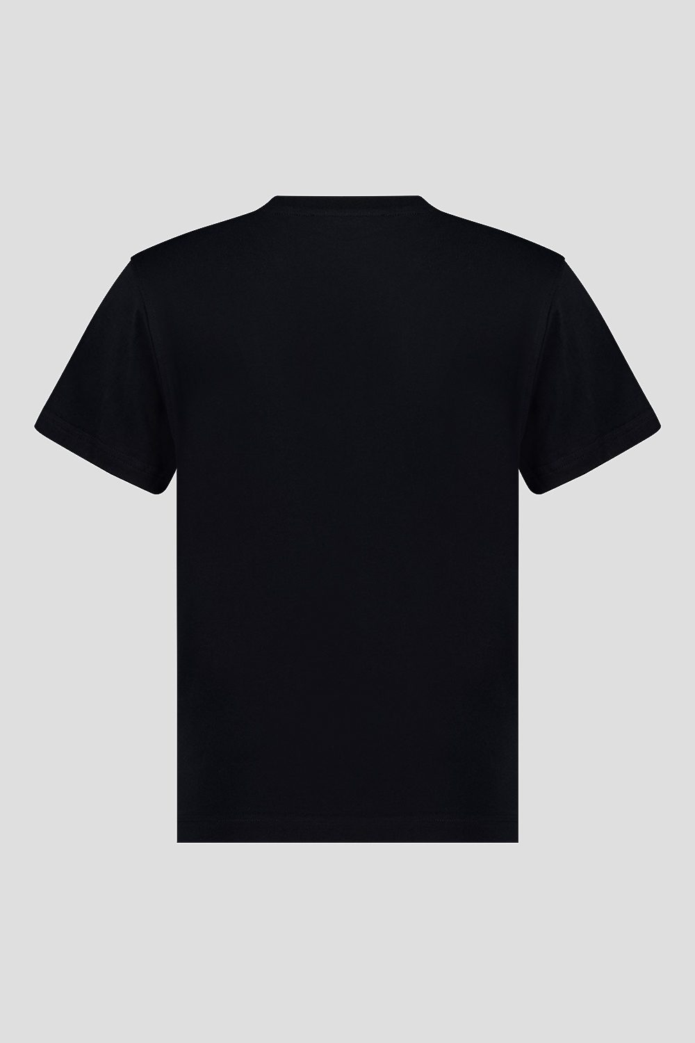 LARIN 2.0 T shirt 255CPWT02743C0E40X206XXX Still life Back