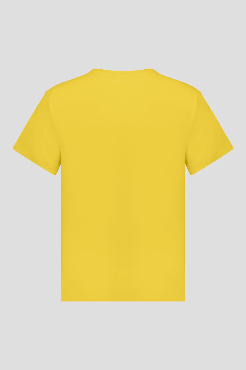 LARIN 2.0 T shirt 255CPWT02743C0E40X60LXXX Still life Back