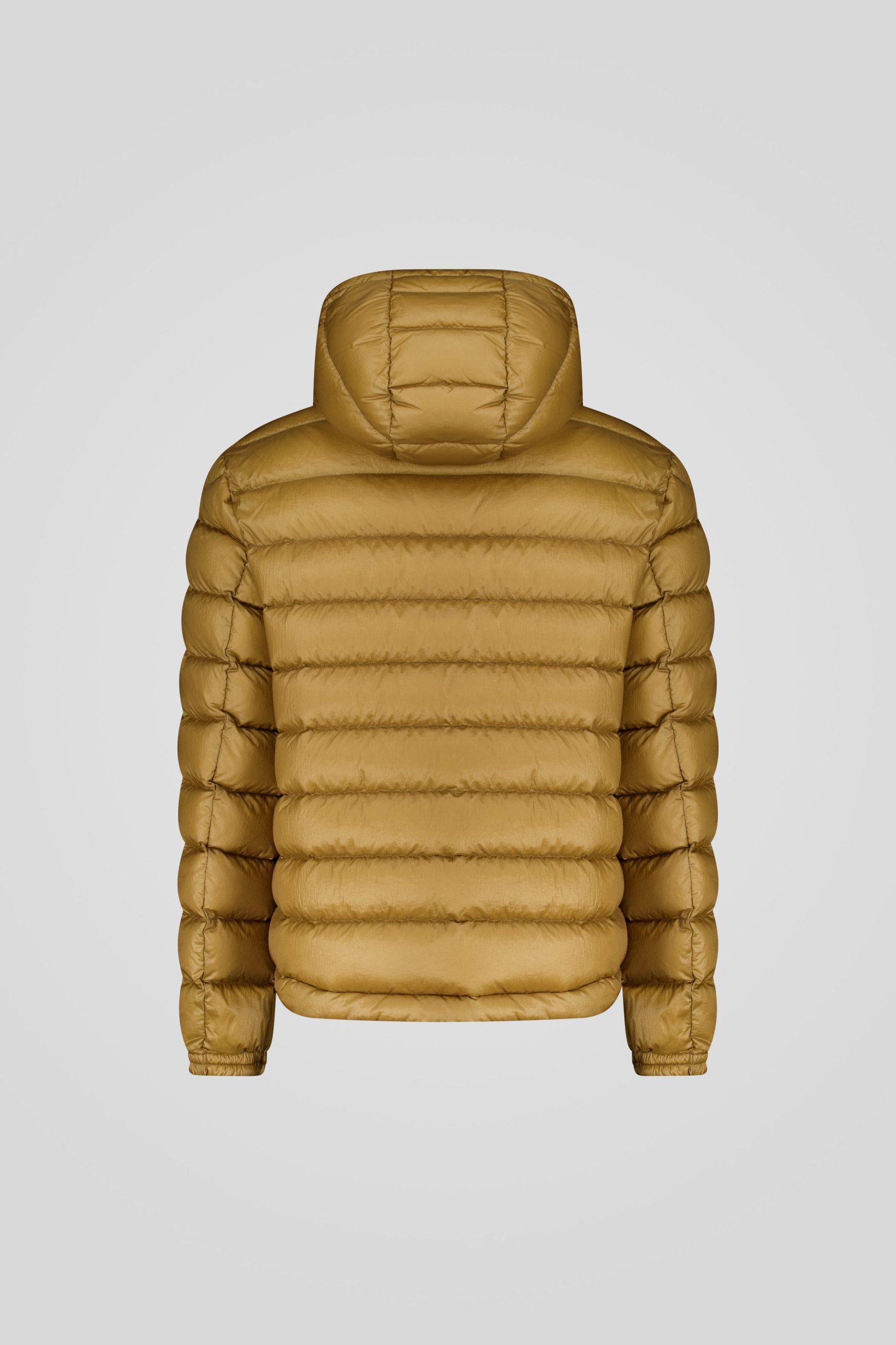 NED 22 253CFMJ01484 N5E11D 70ZXXP Back TIFF 1 1 scaled