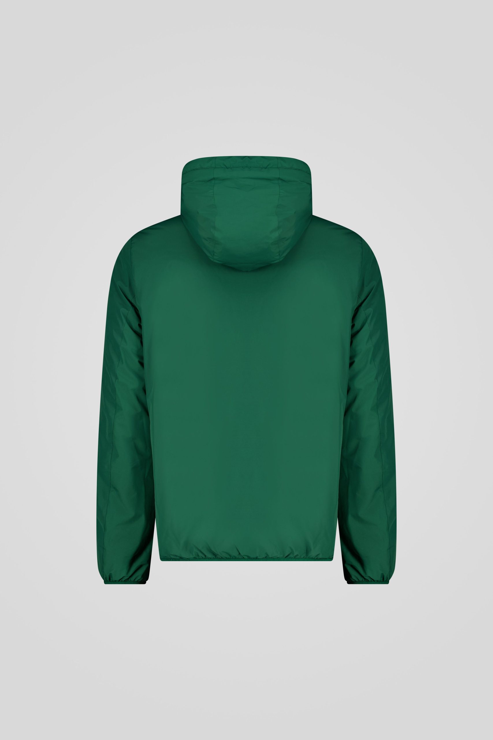 PETER 253CPMJ08544 P1410P 42Q6XN Back TIFF 1 scaled