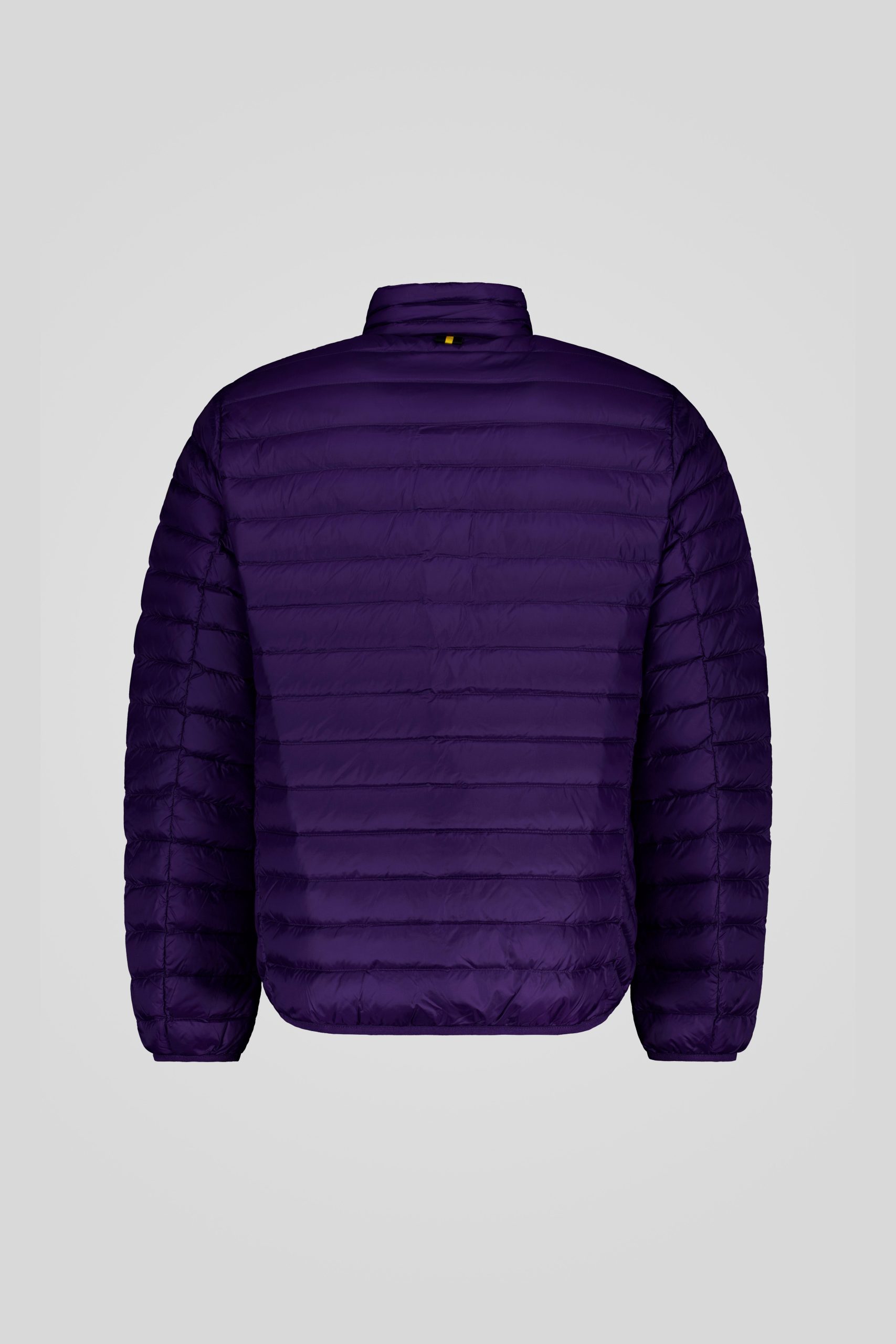 PRINCE 3 0 253CFMJ20061 N3N11D 82DXXP Back TIFF 1 scaled