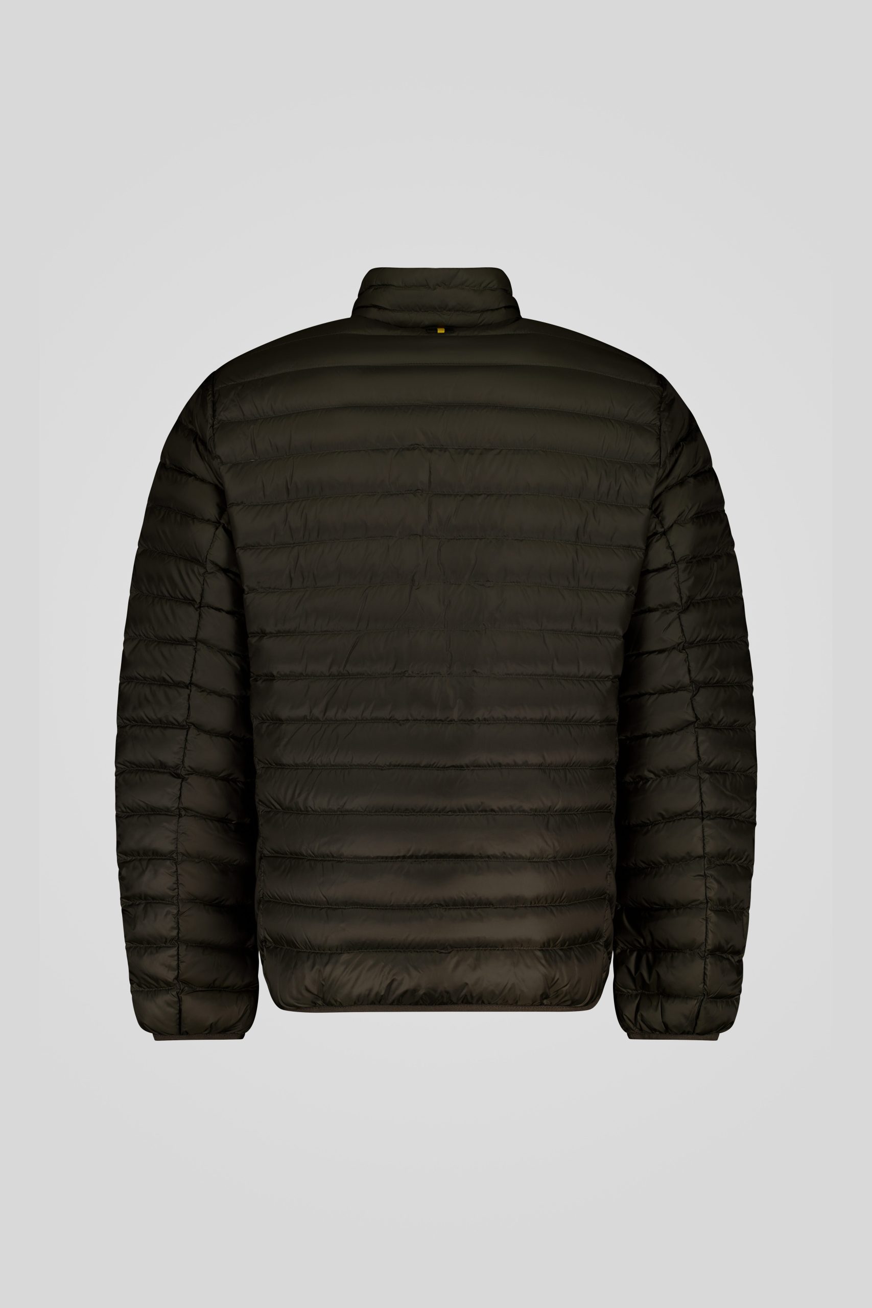 PRINCE 3 0 253CFMJ20061 N3N11D 427XXP Back TIFF 1 scaled