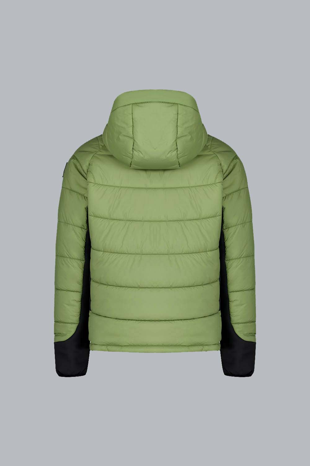 RAISER GIACCADASCI 247KCMPJ8383N0Z11R247465NXW back