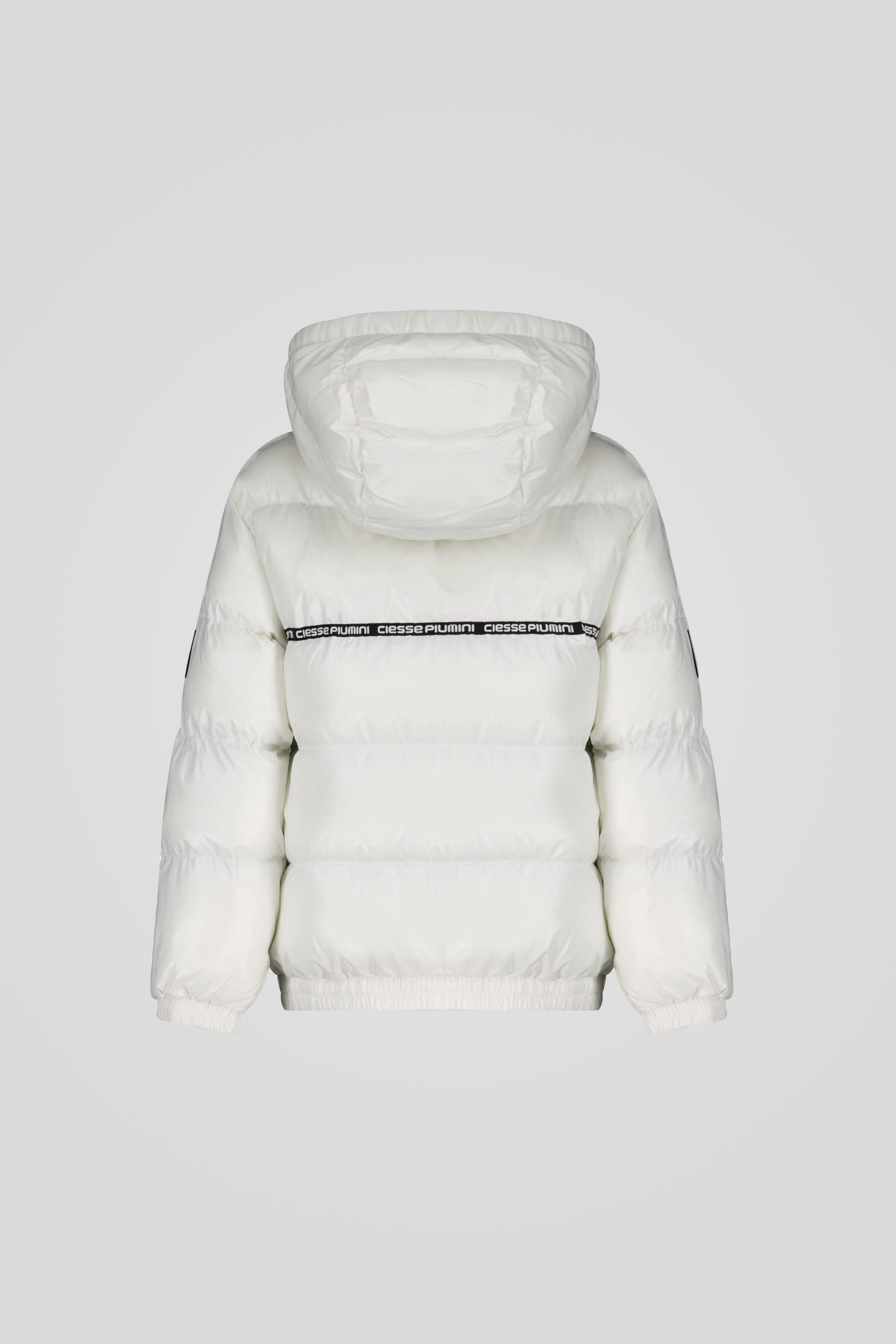 TOBY 253CPJJ28580 N6E11E 1153XP Back TIFF 1 scaled