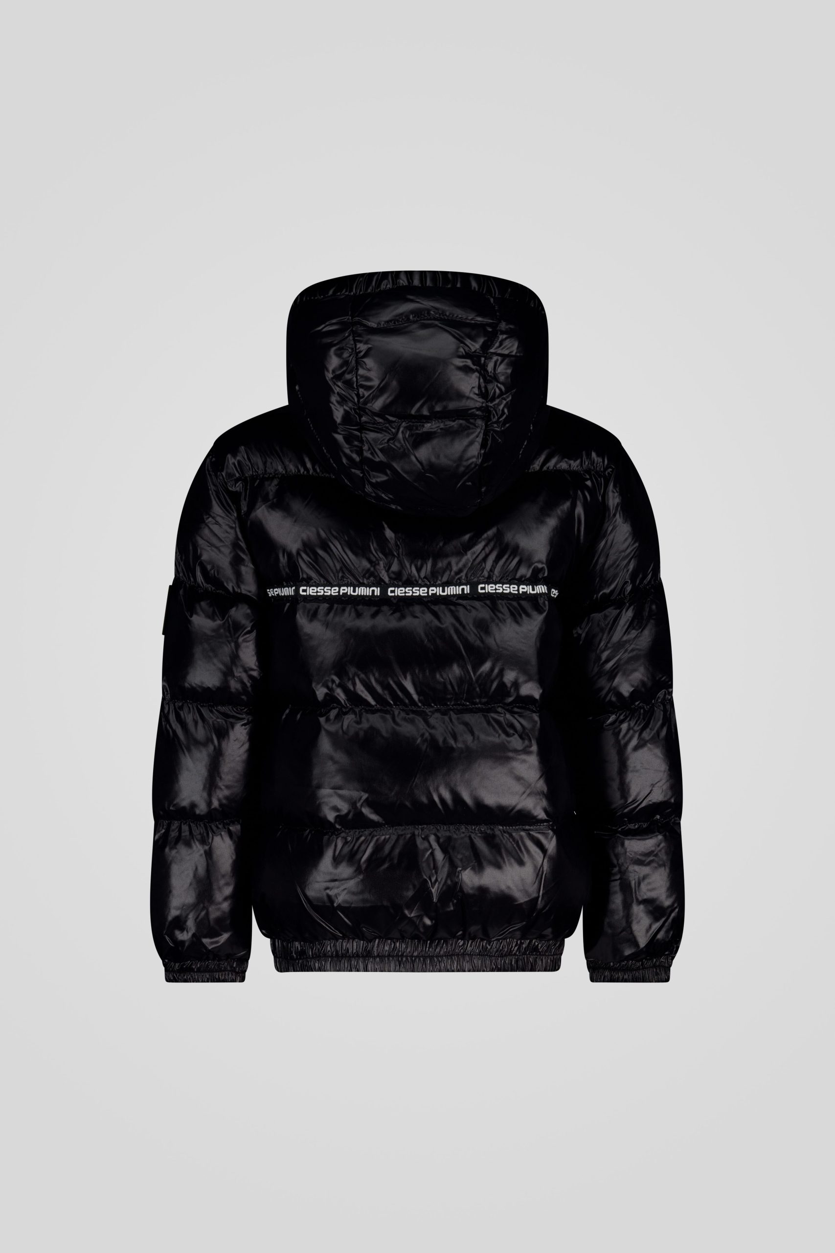 TOBY 253CPJJ28580 N6E11E 2063XP Back TIFF 1 scaled