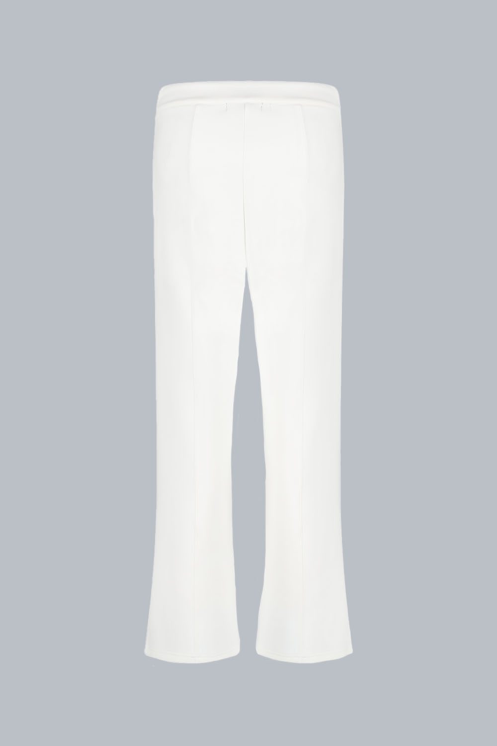 VANEPANT PANTALONEAMPIO 243CPWP02845P4Z20X243115XXP Back 1