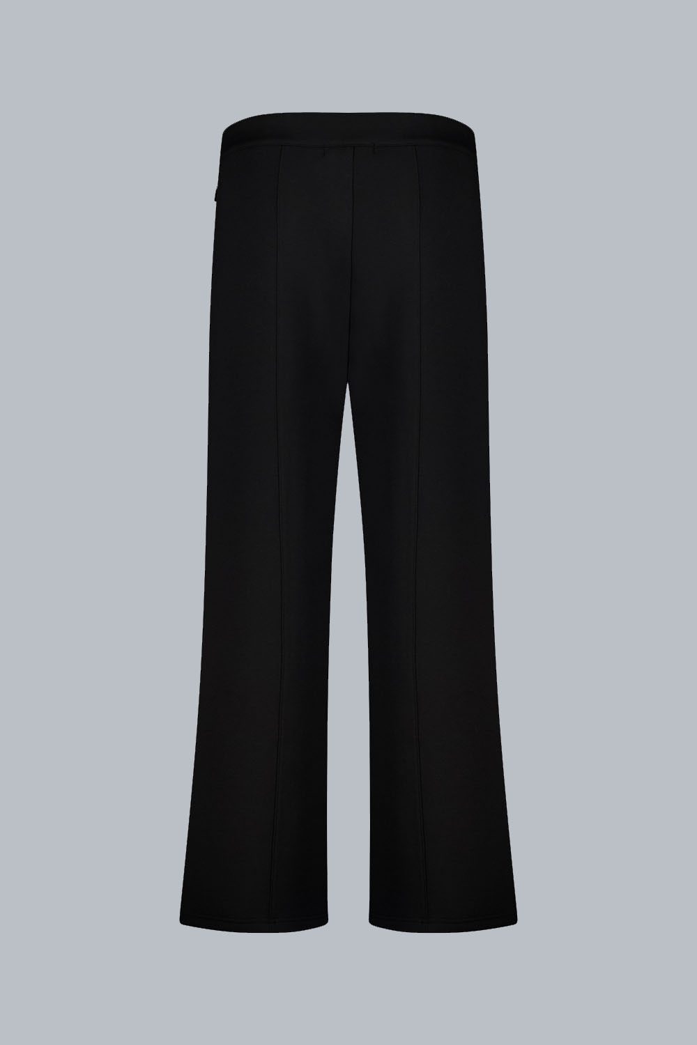 VANEPANT PANTALONEAMPIO 243CPWP02845P4Z20X243206XXP Back 1