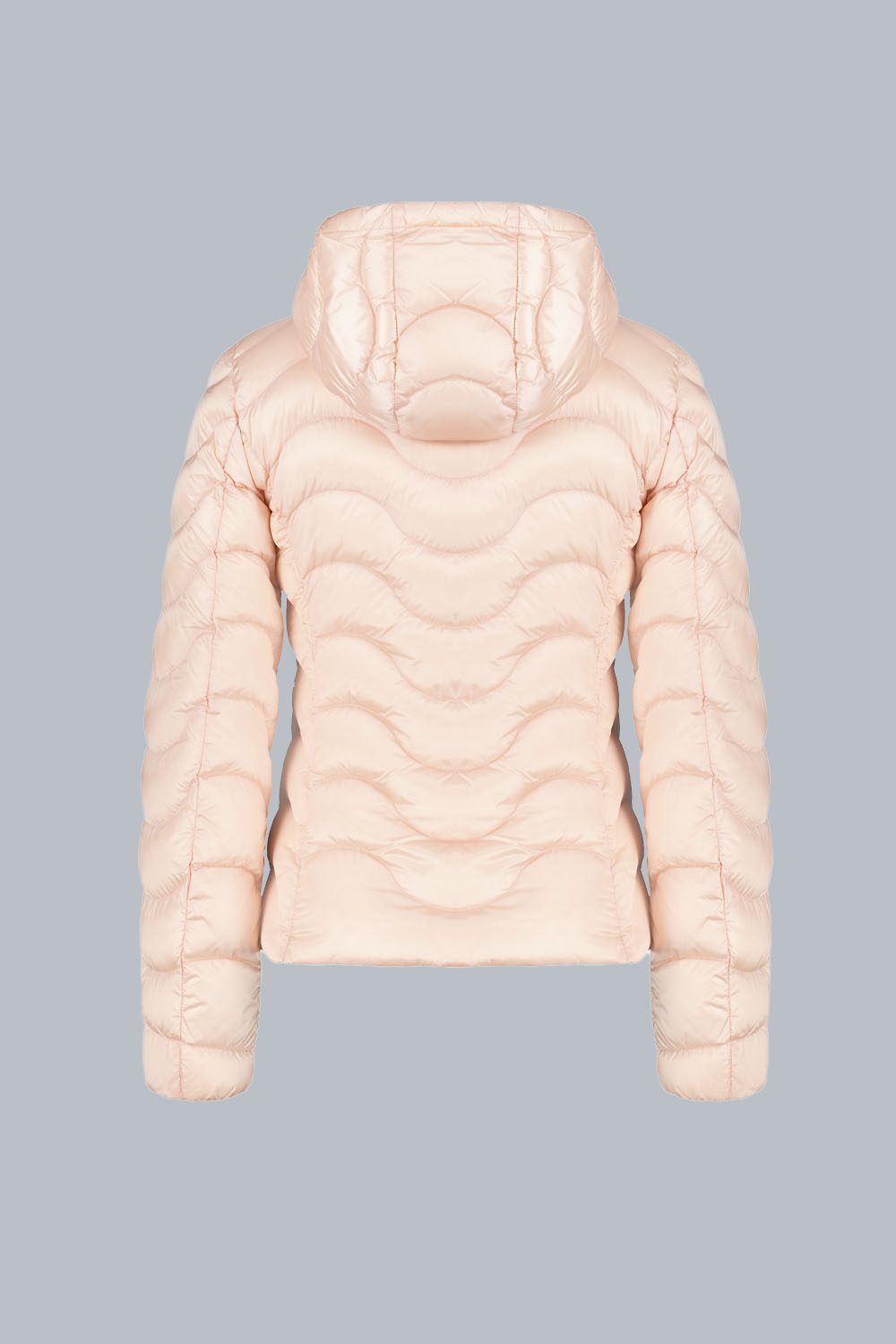 WANDA_PIUMINO100GRAMMI_233CFWJ02663N1C10D24381NXXP_BK-1-1.jpg WANDA PIUMINO100GRAMMI 233CFWJ02663N1C10D24381NXXP BK 1 1