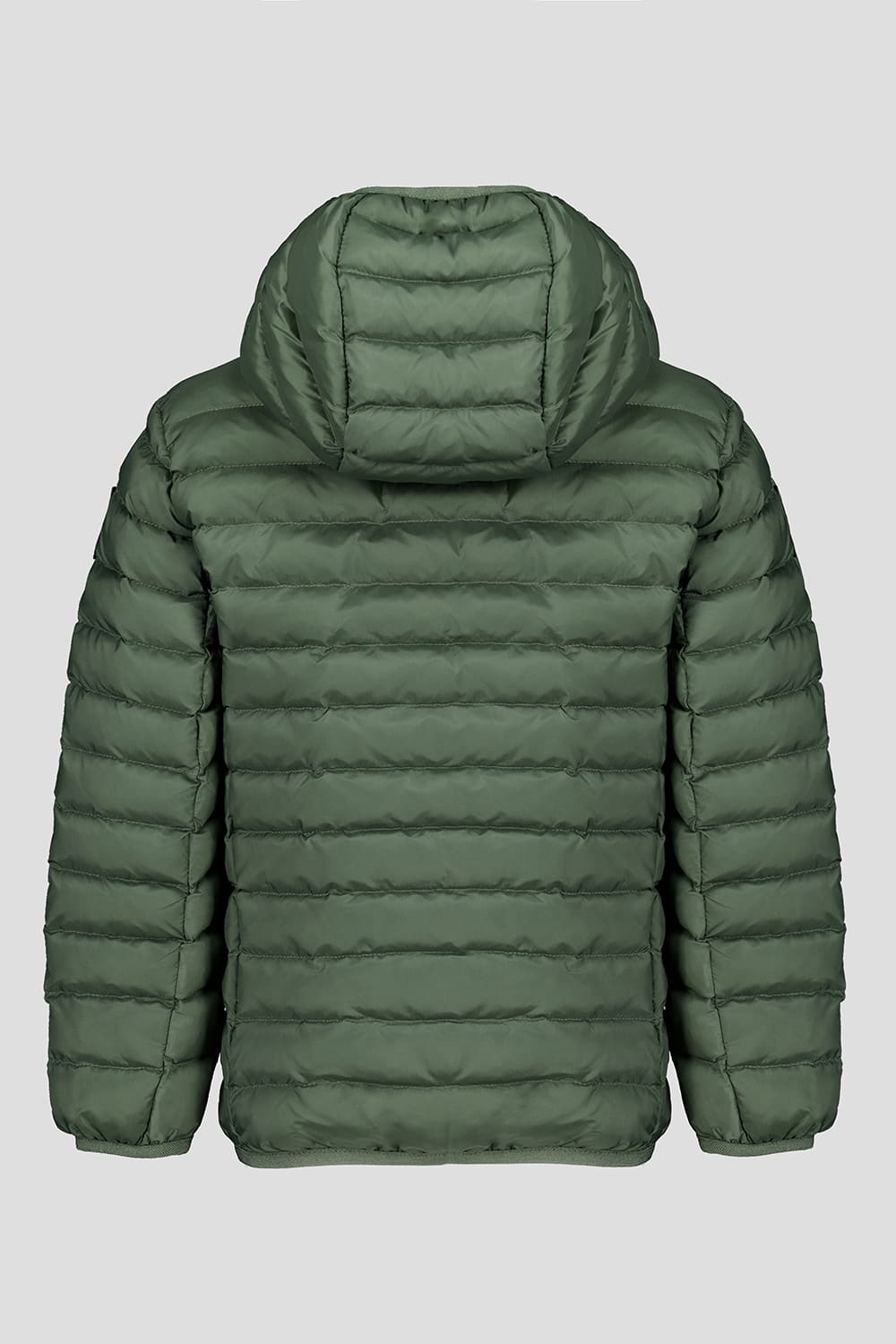 WILLY BOY 3.5 Piumini leggeri 245CPBJ01539N0210R42DXXN Still life 1