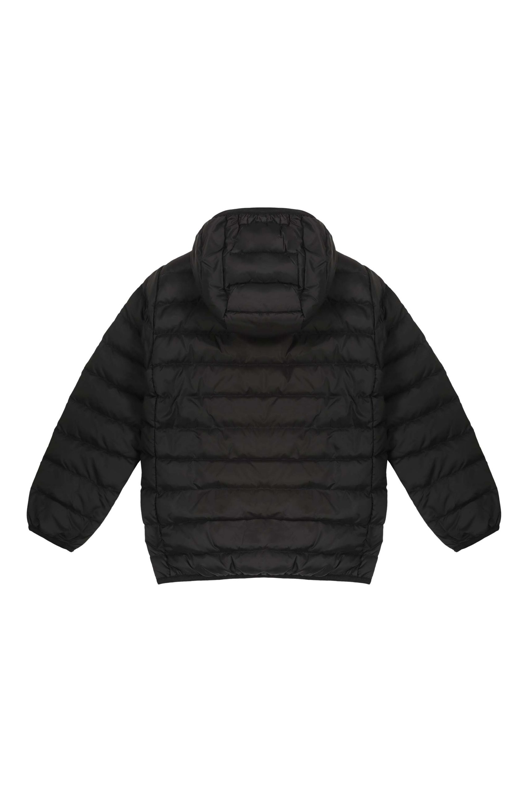 franklin-boy-N0210D_2016XP-6.jpg franklin boy N0210D 2016XP 6 scaled