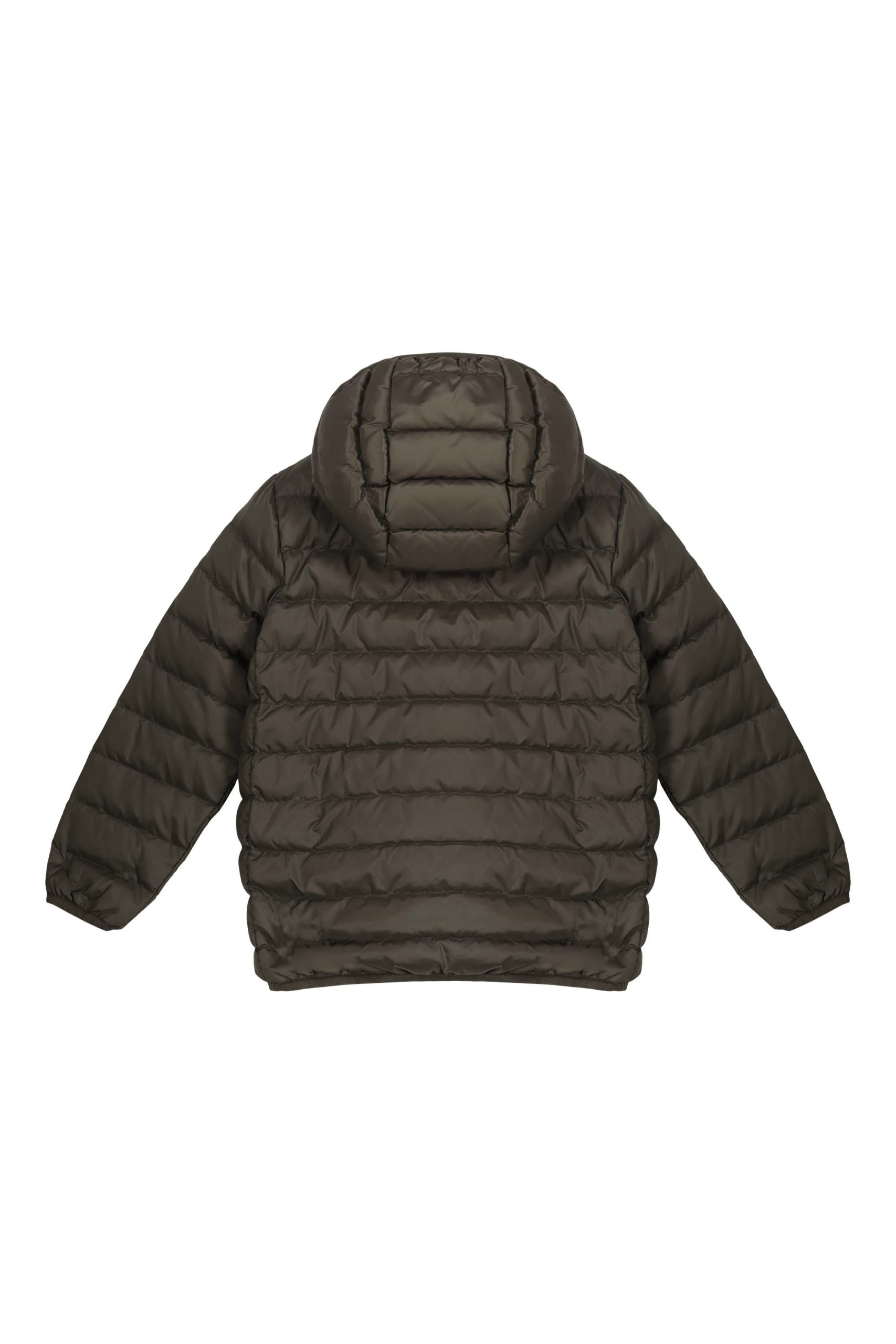 franklin-boy-N0210D_4276XP7.jpg franklin boy N0210D 4276XP7 scaled