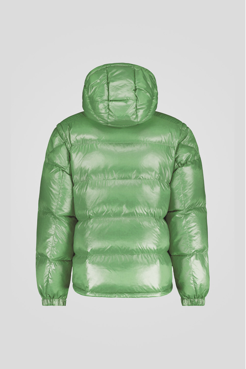 ANTON 253PCMJI8560 N3P11D 42R3XP Back TIFF 1