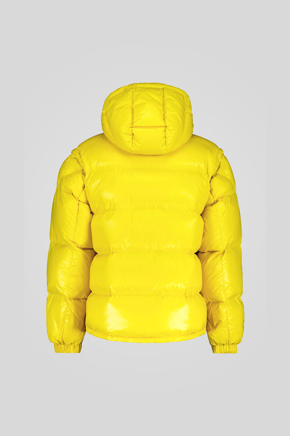 ANTON 253PCMJI8560 N3P11D 6021XP Back TIFF 1