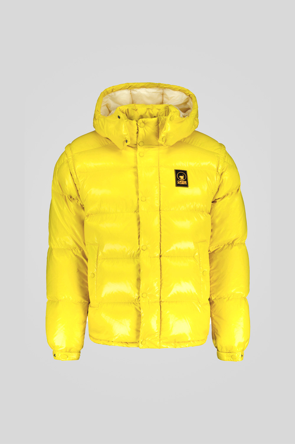 ANTON 253PCMJI8560 N3P11D 6021XP Front TIFF 1