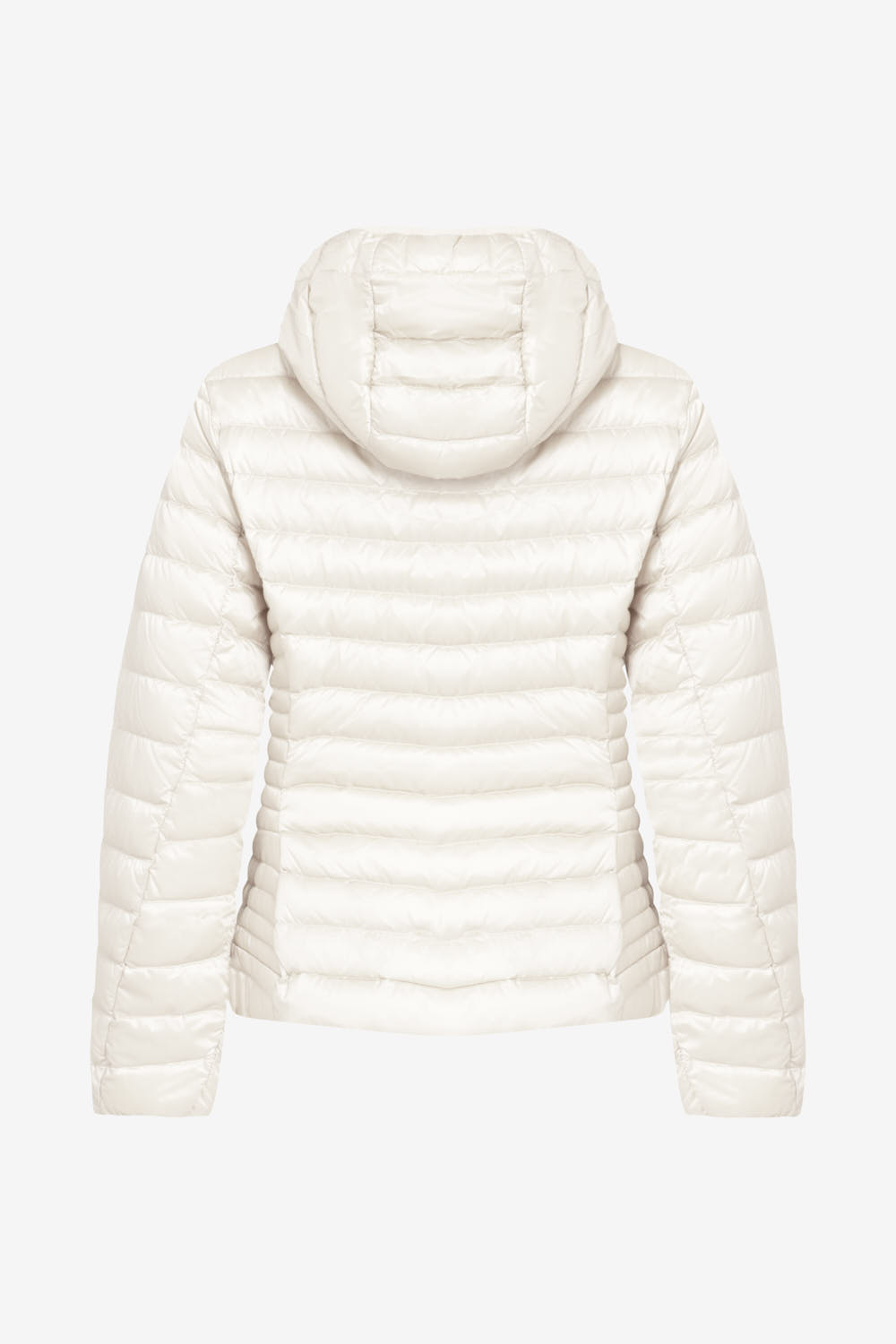 CARRIE 2.0 265CFWJ00178 N1C10D 1115XXN BACK