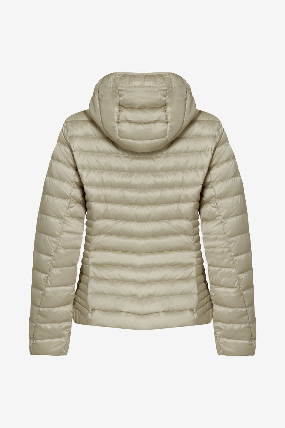 CARRIE 2.0 265CFWJ00178 N1C10D 42DXXN BACK