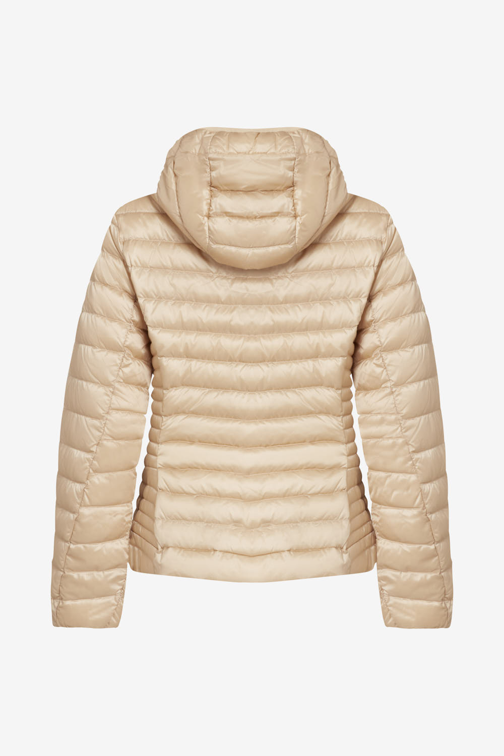 CARRIE 2.0 265CFWJ00178 N1C10D 71MXXN BACK