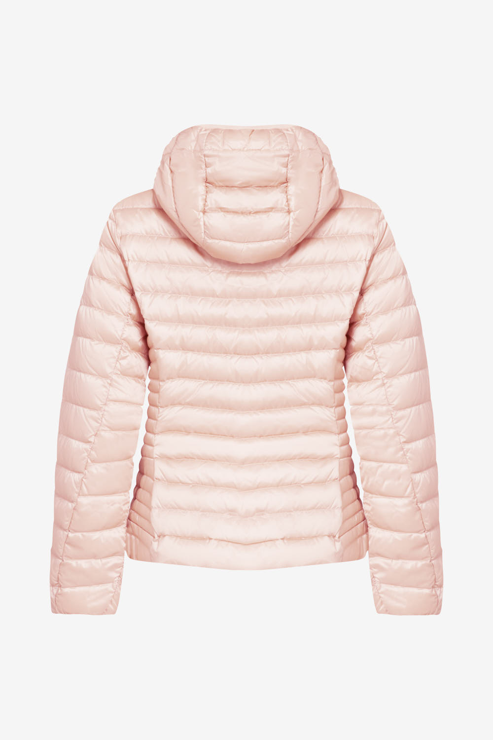 CARRIE 2.0 265CFWJ00178 N1C10D 82RXXN BACK 1