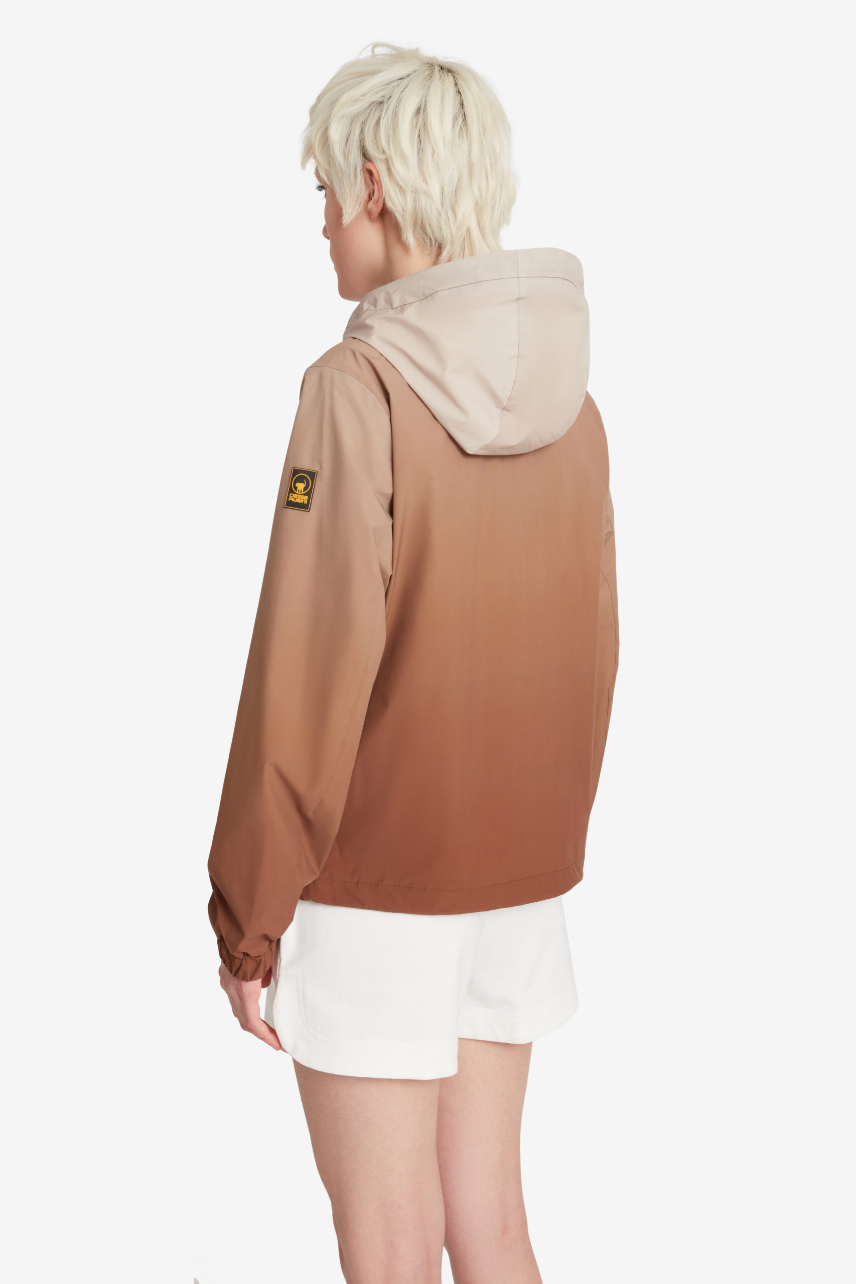 HORIZONS W 265CPWJ08639 P7S11X F787XN 3 scaled