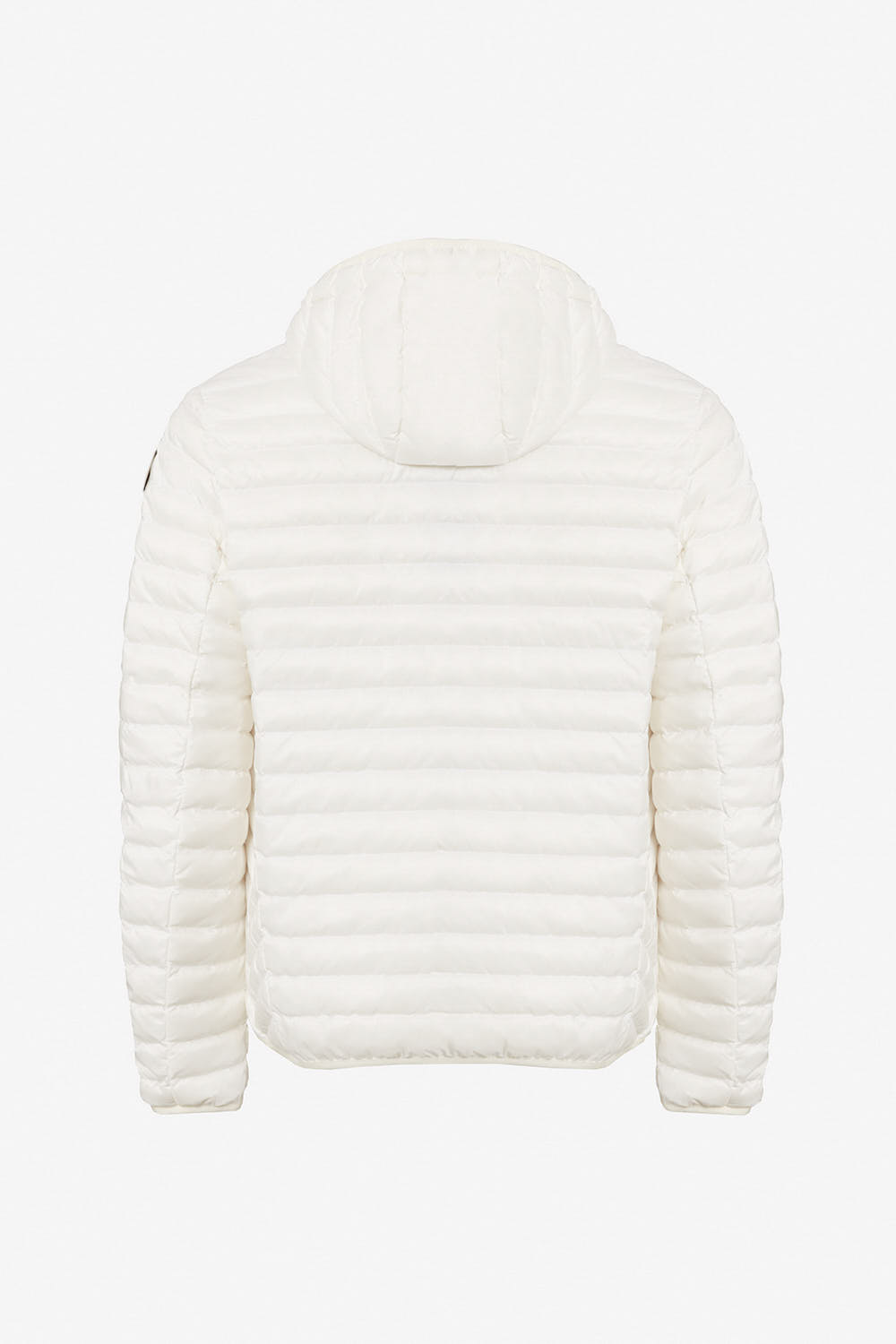 LARRY 4.0 265CFMJ00126 N0210D 115XXN BACK