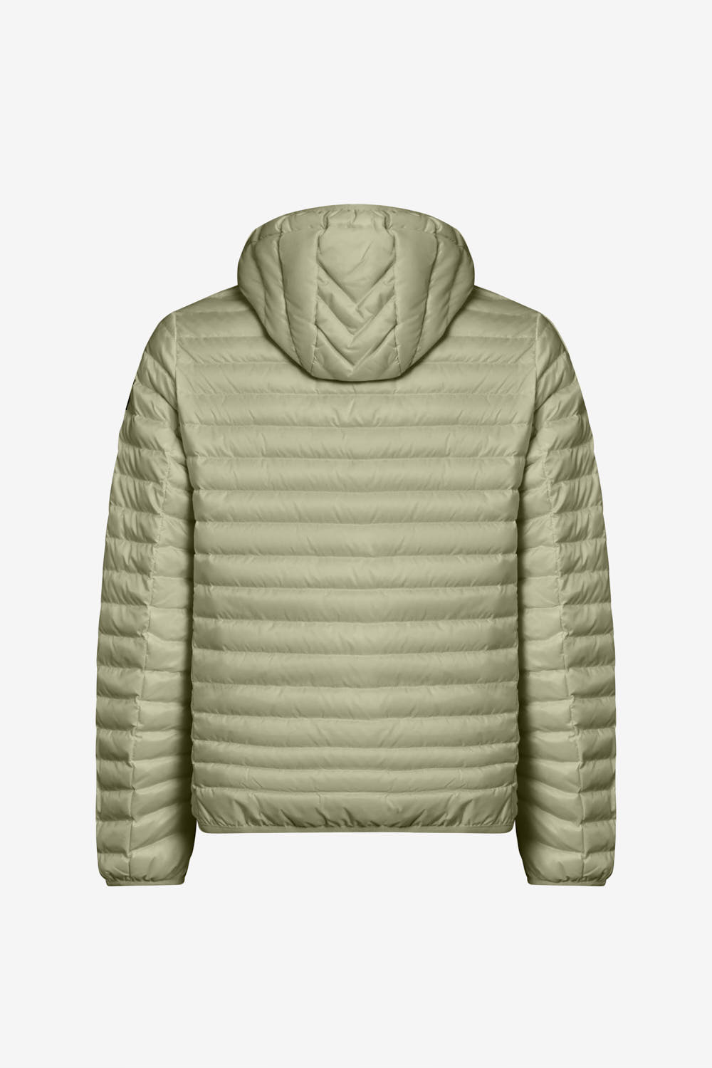 LARRY 4.0 265CFMJ00126 N0210D 42VXXN BACK