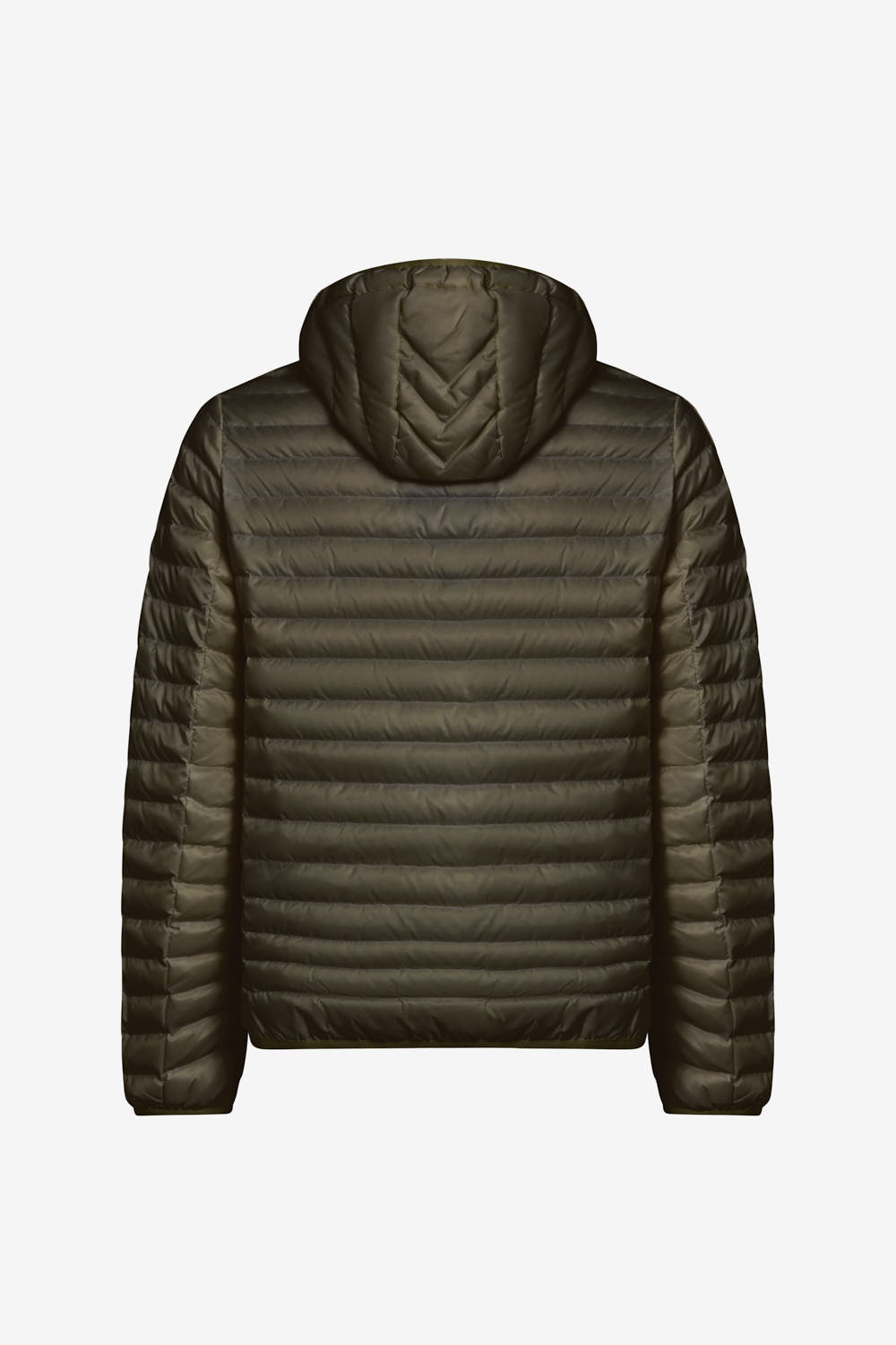 LARRY 4.0 265CFMJ00126 N0210D 71DXXN BACK