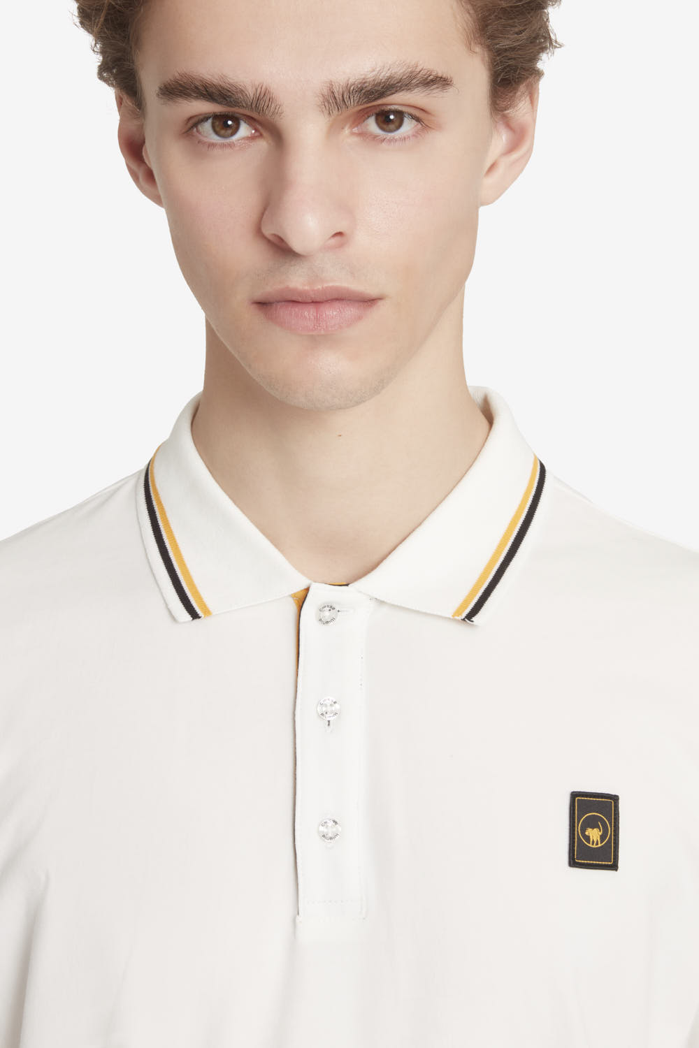 SAXON 4.0 265CPMT21665 C8640X 1156XX 4